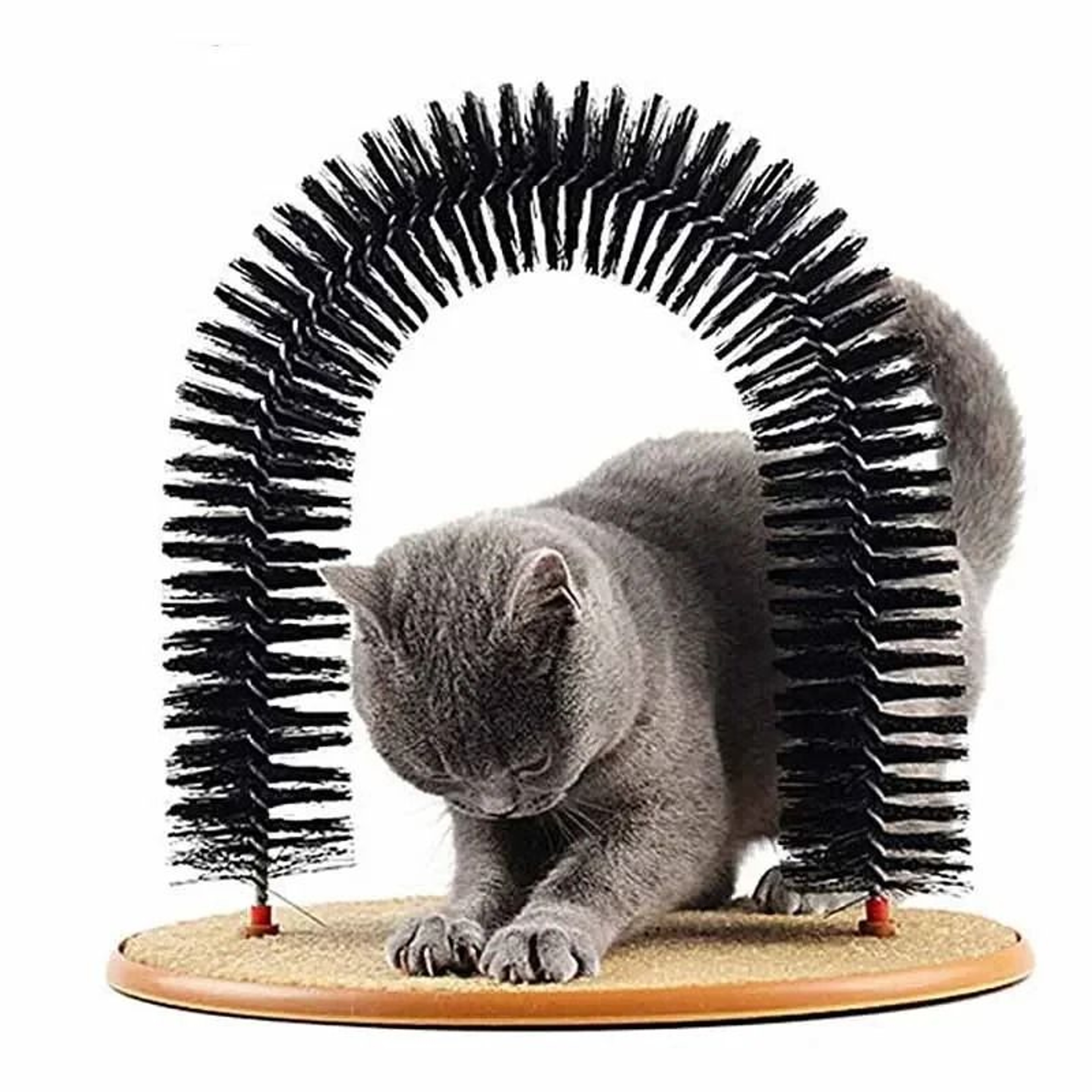 Cat Self Grooming Arch With Massage Brush And Scratching Pad 4
