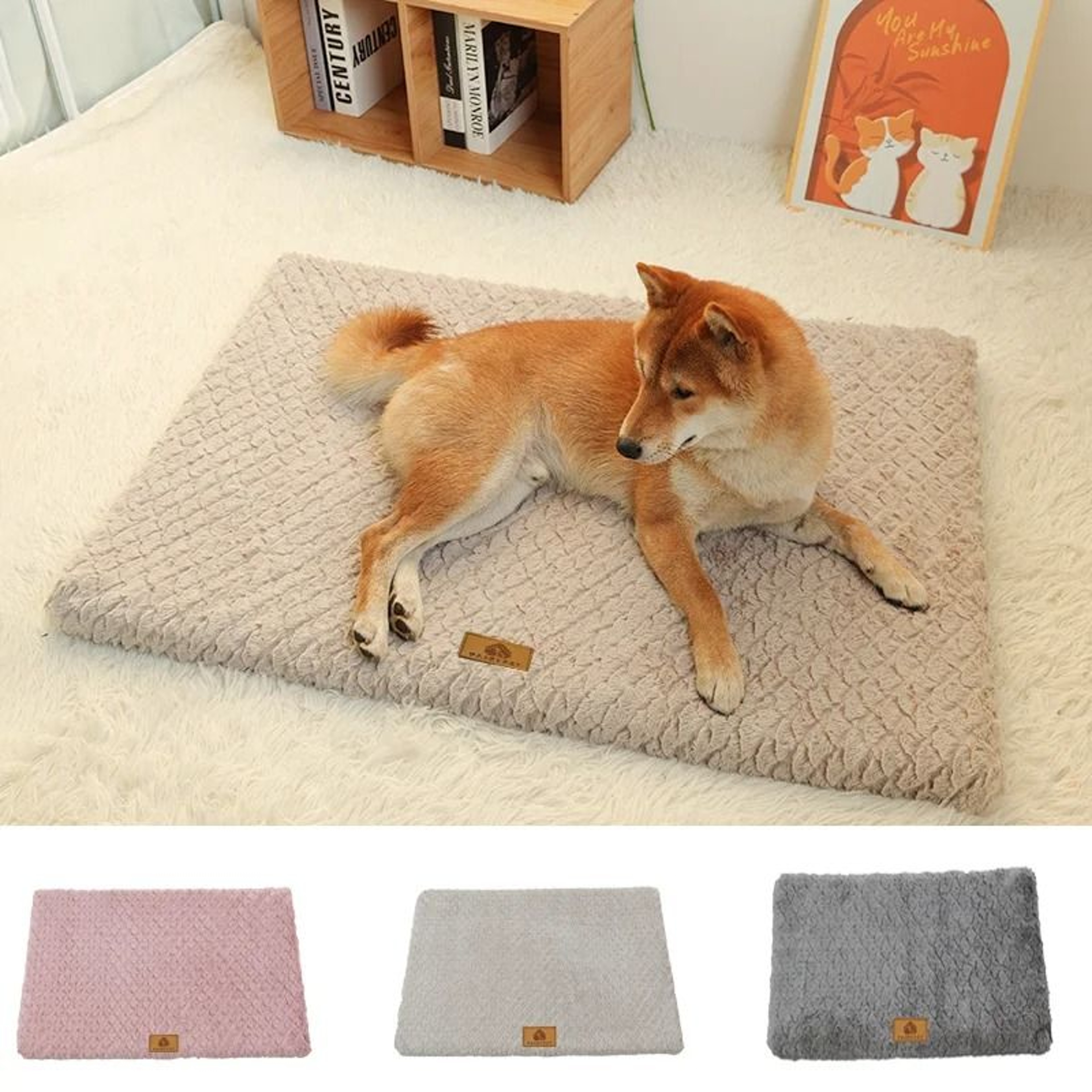 Plush Foam Pet Bed With Washable Cover 0
