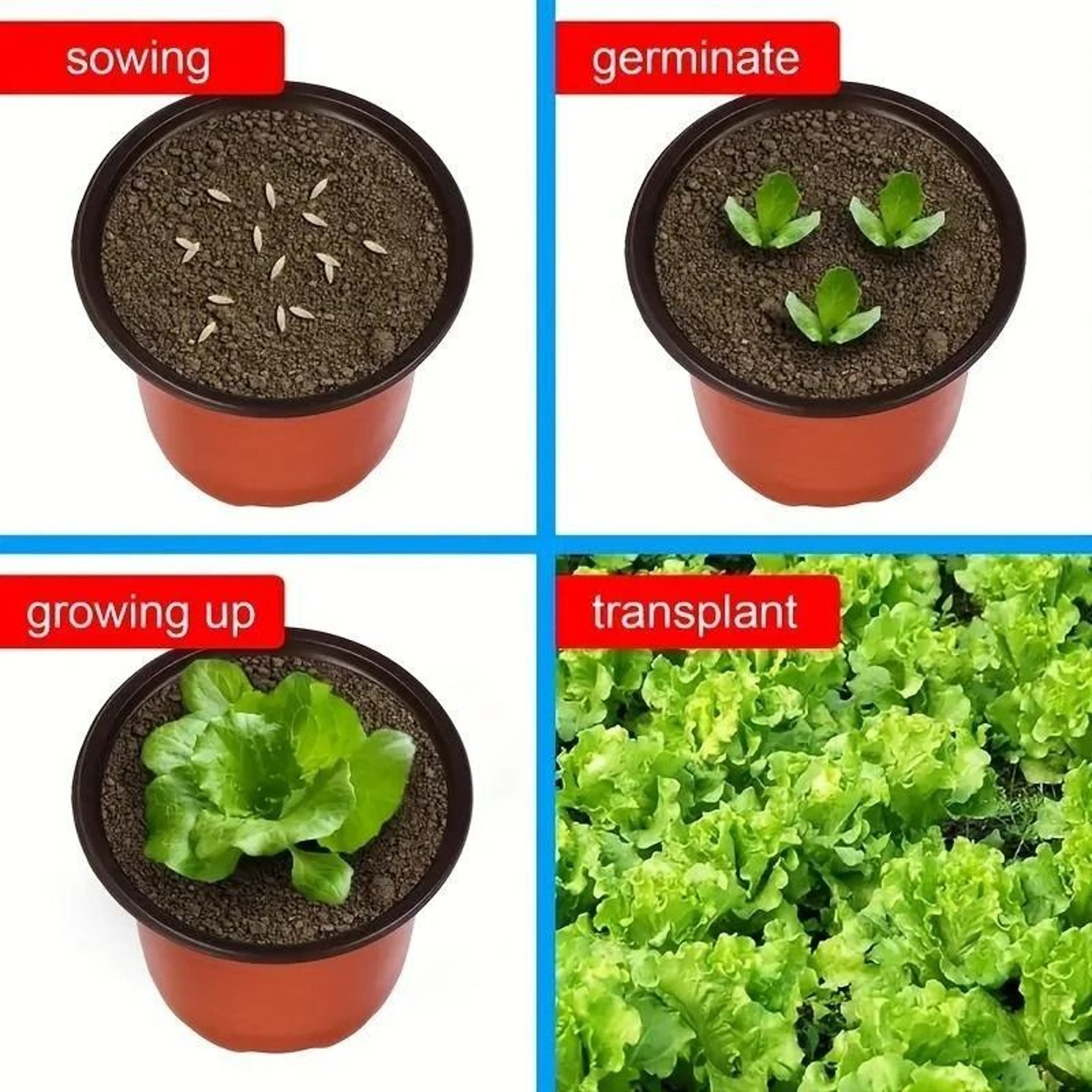 Plastic Plant Nursery Pots 4 Inch 10 Piece Set 2