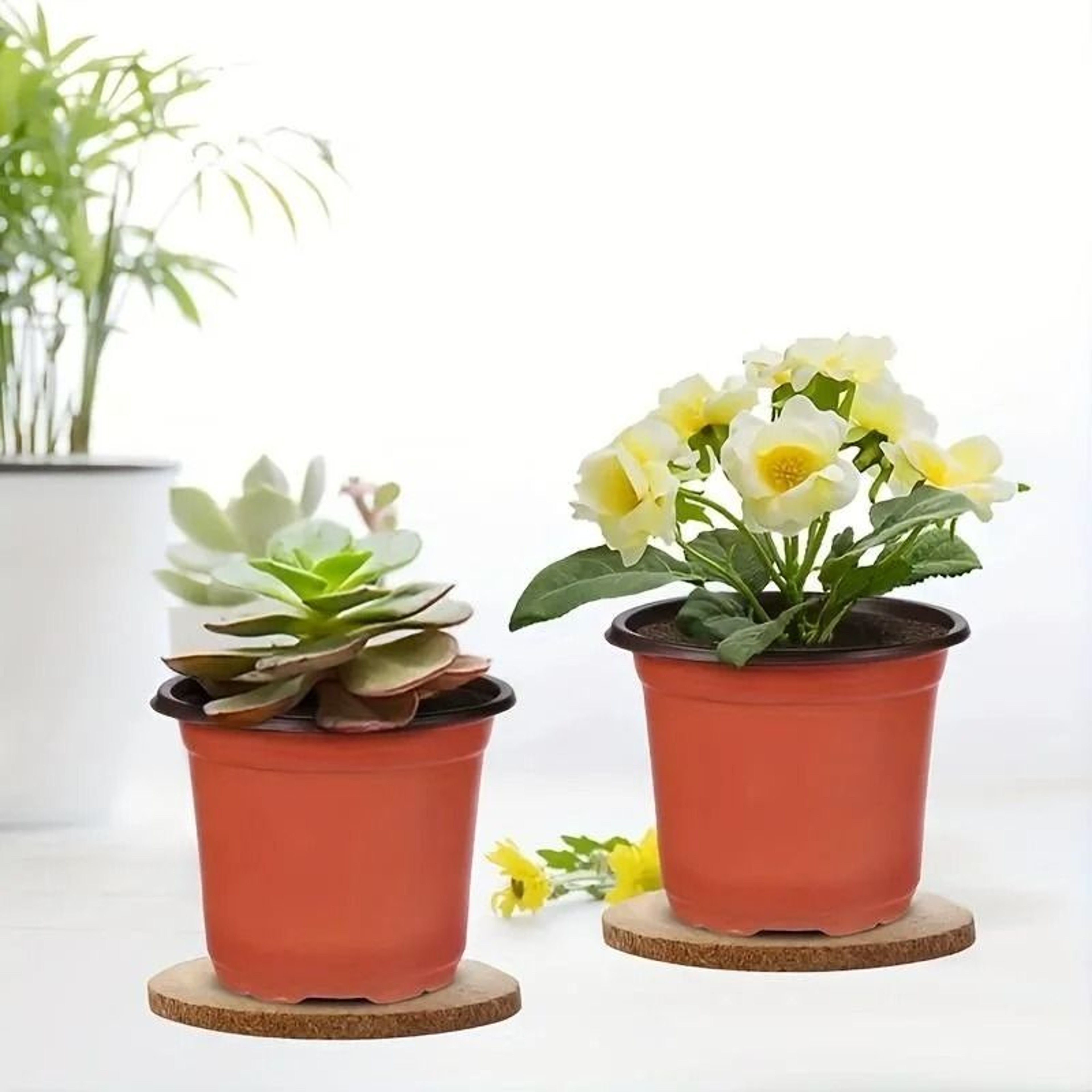 Plastic Plant Nursery Pots 4 Inch 10 Piece Set 3