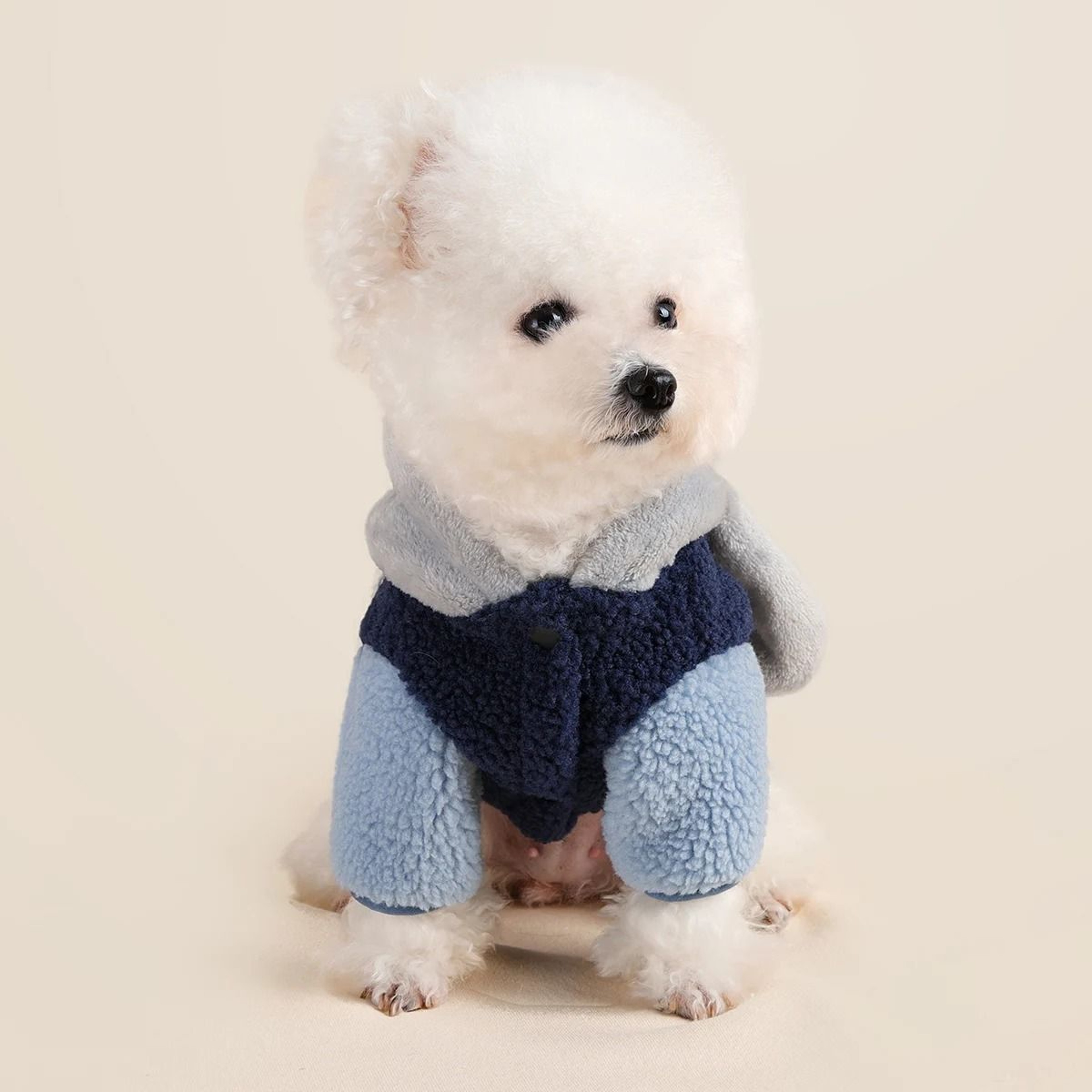 Cozy Rabbit Ear Pet Sweater For Warmth In Autumn And Winter 1
