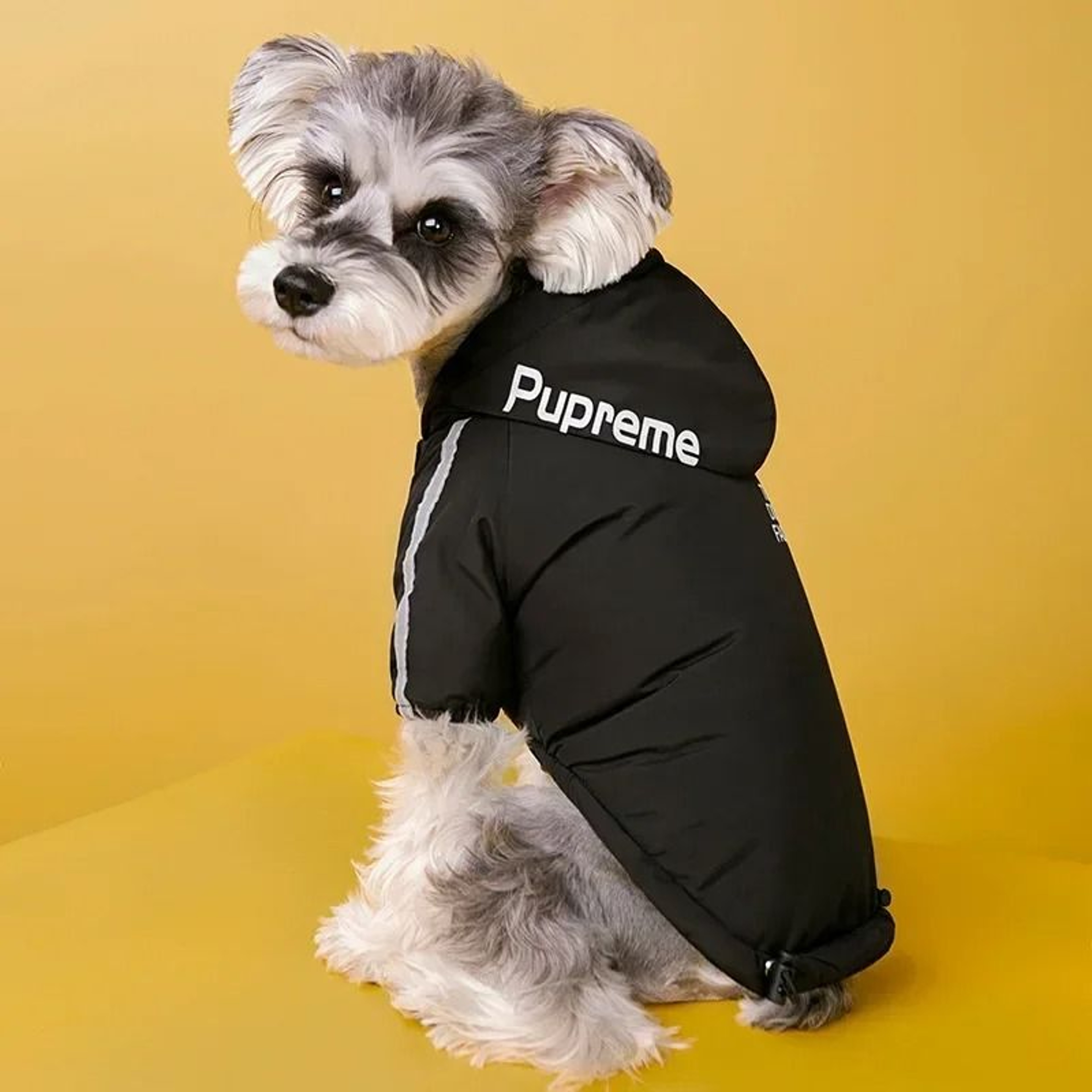 Waterproof Fleece Lined Dog Jacket For Winter Warmth 5