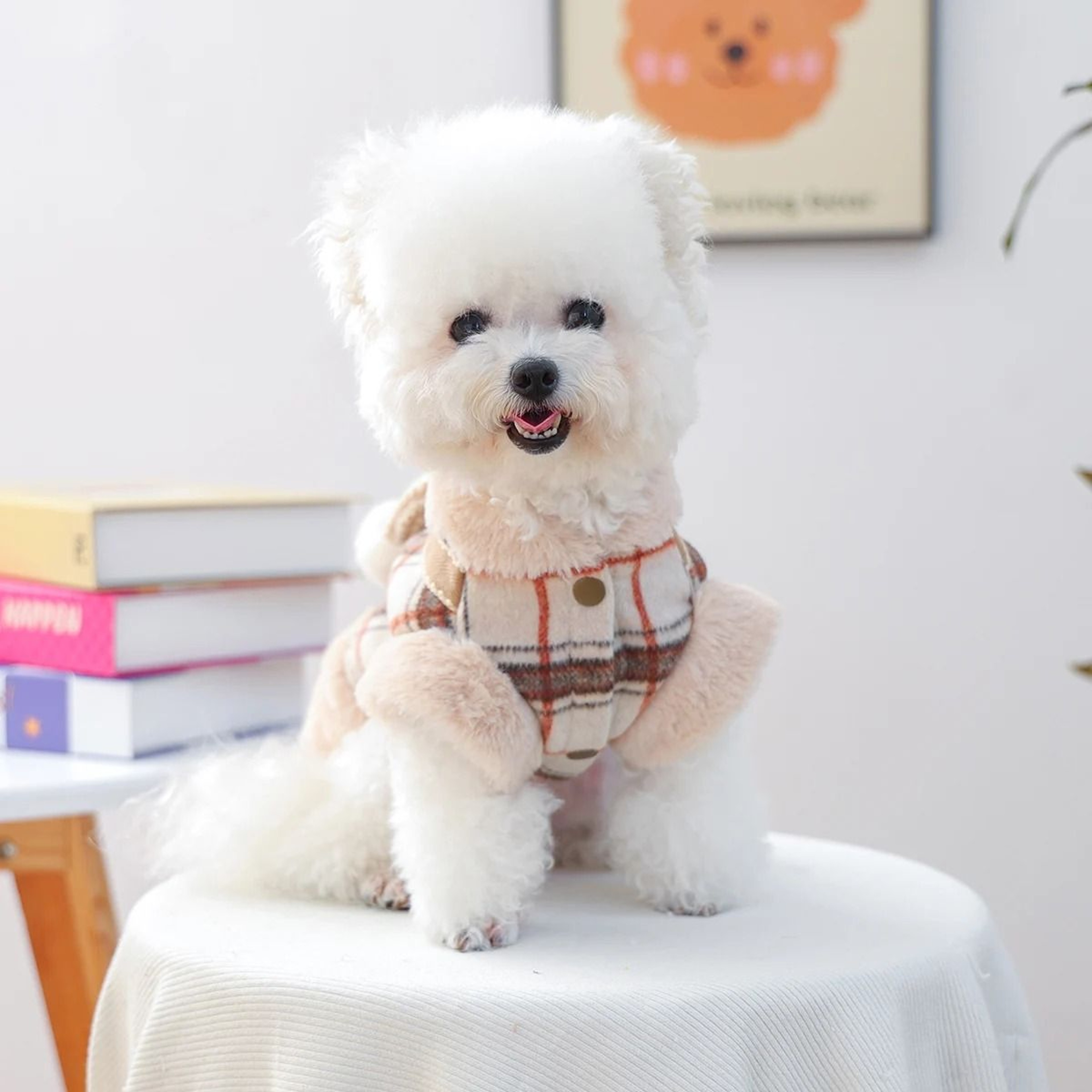 Cozy Bow Decorative Pet Jacket For Autumn And Winter Warmth 0