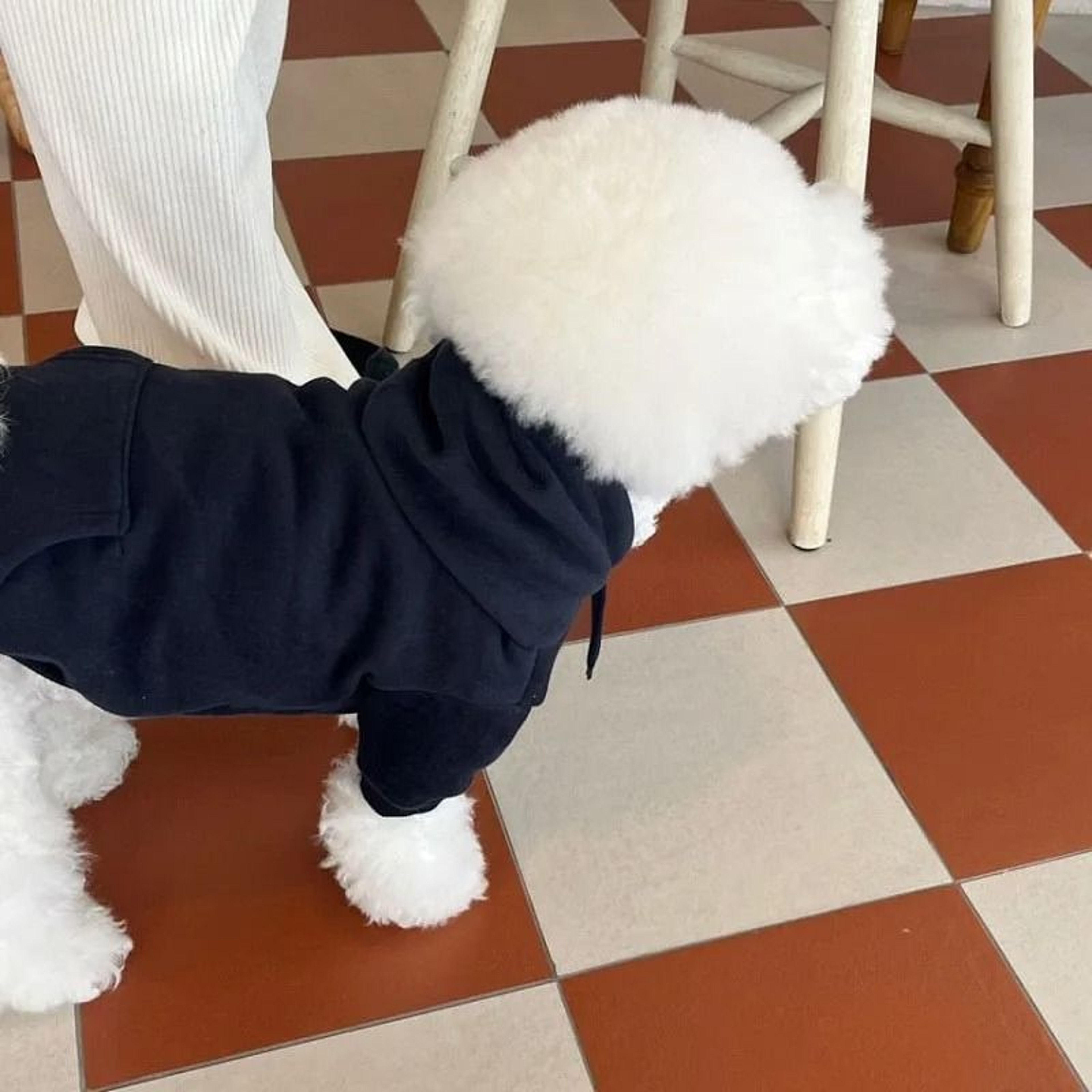 Winter Plush Hoodie For Dogs Warm Cozy Fashion Hoodie For Cold Weather 3