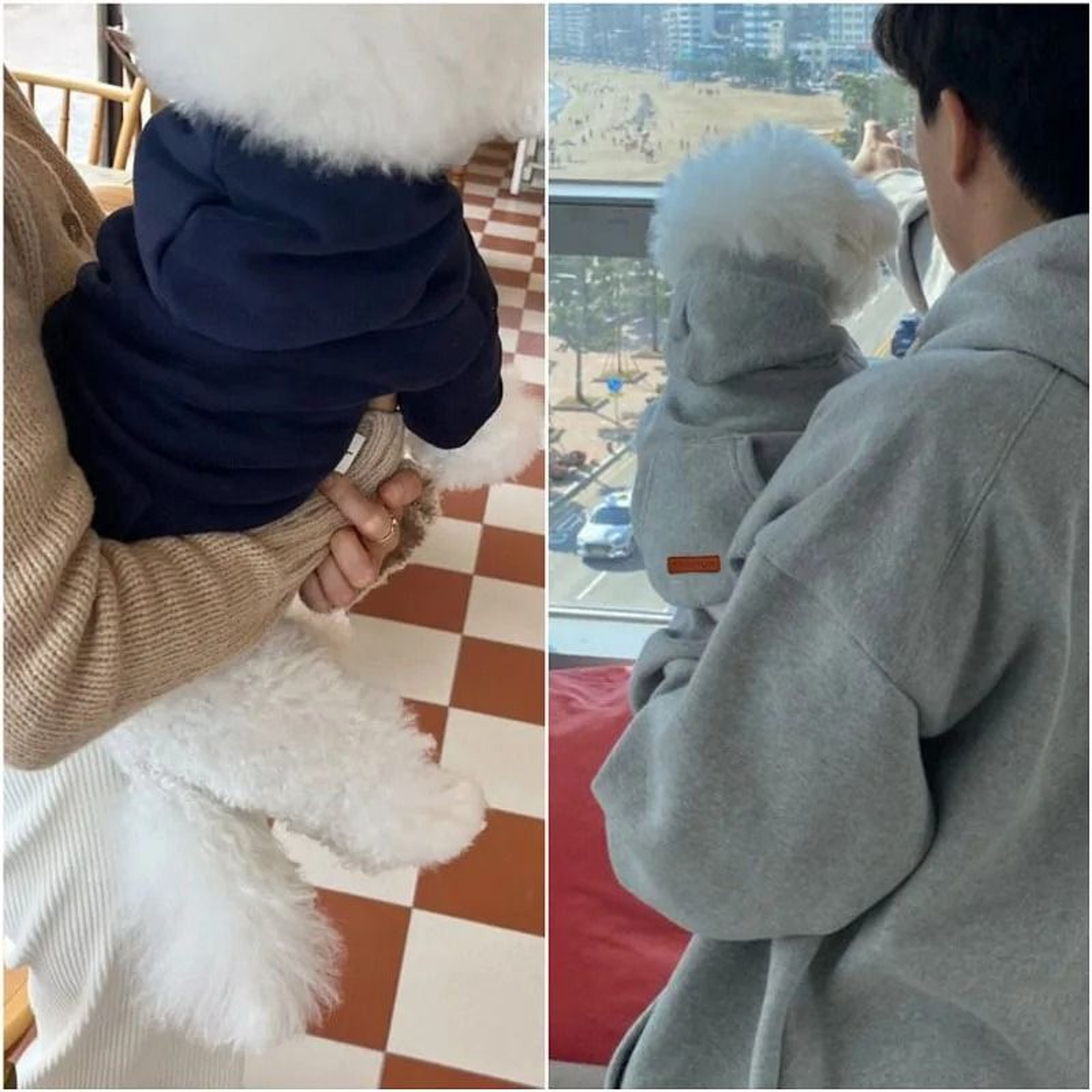 Winter Plush Hoodie For Dogs Warm Cozy Fashion Hoodie For Cold Weather 4