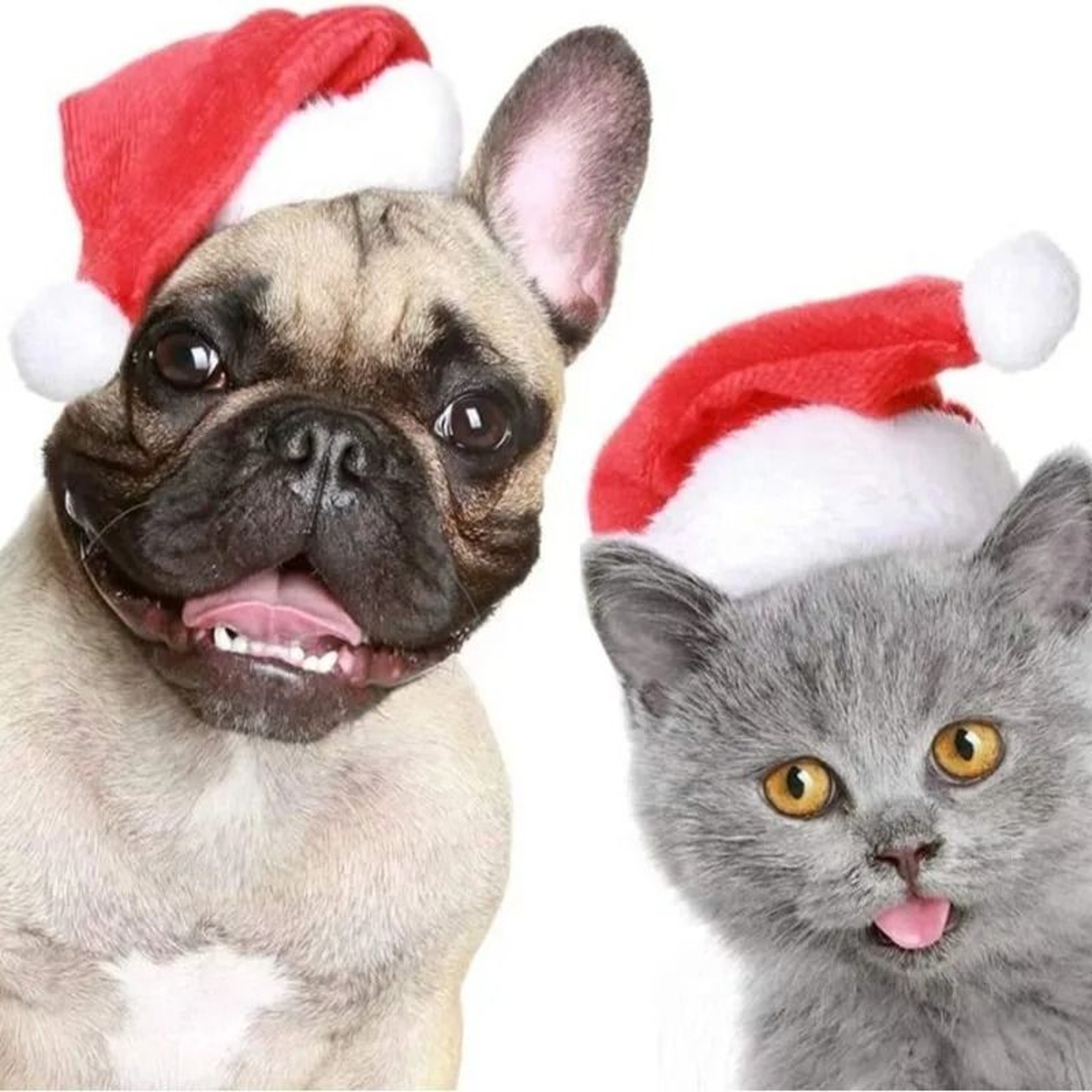 Festive Santa Hat For Pets Plush Red Holiday Cap For Dogs  Cats 2