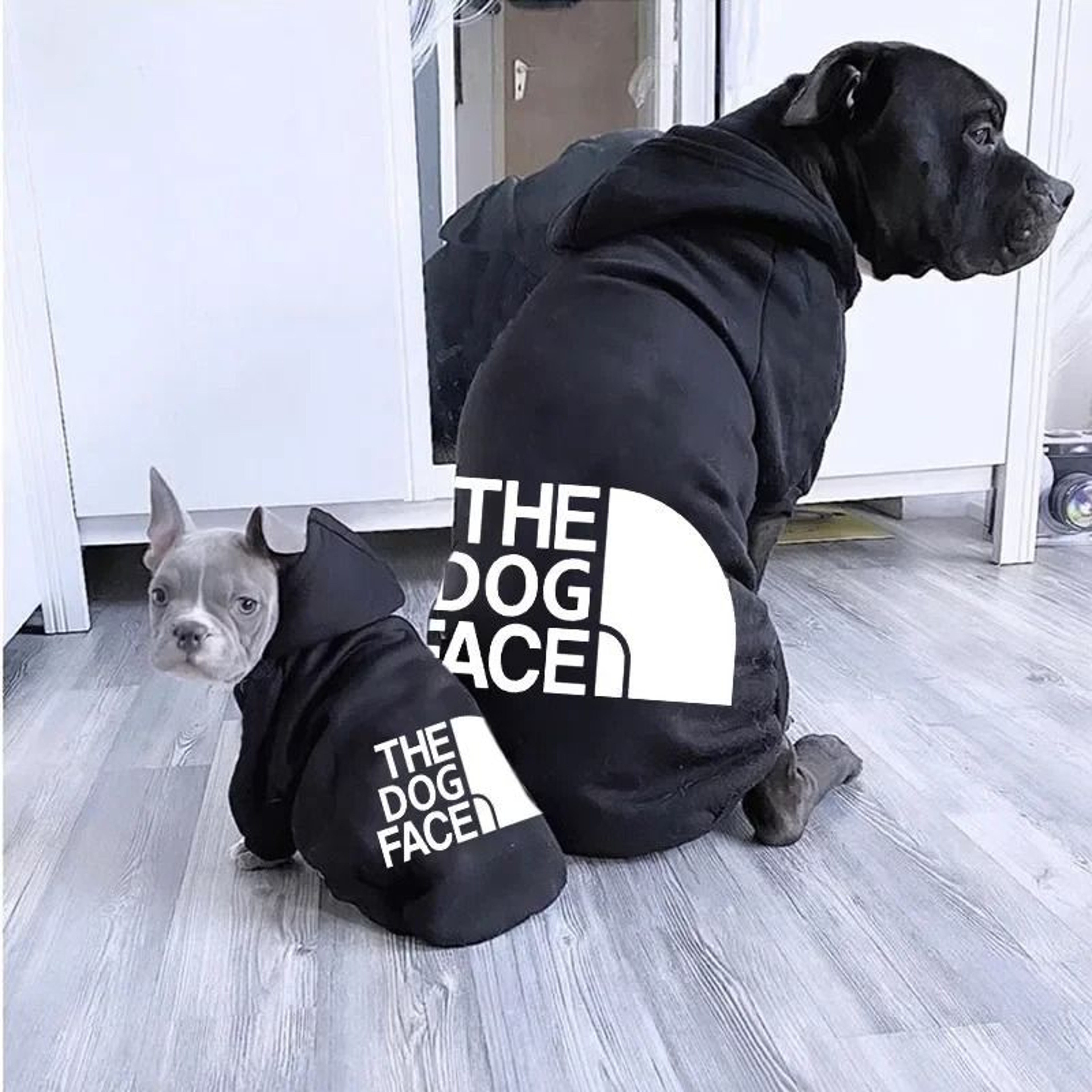 Pet Dog Autumn Winter Hoodie 0