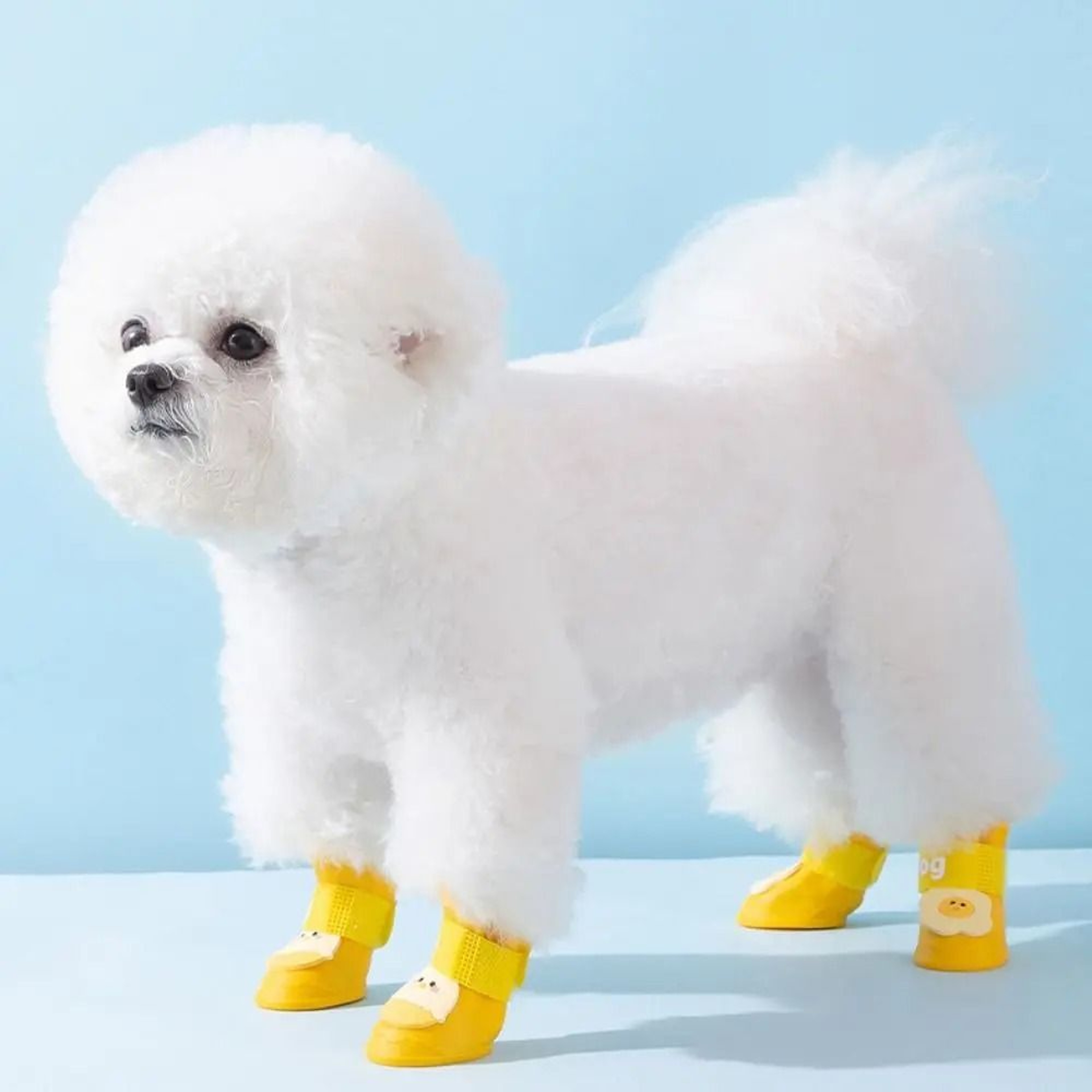 4 Piece Silicone Pet Rain Boot Set 1