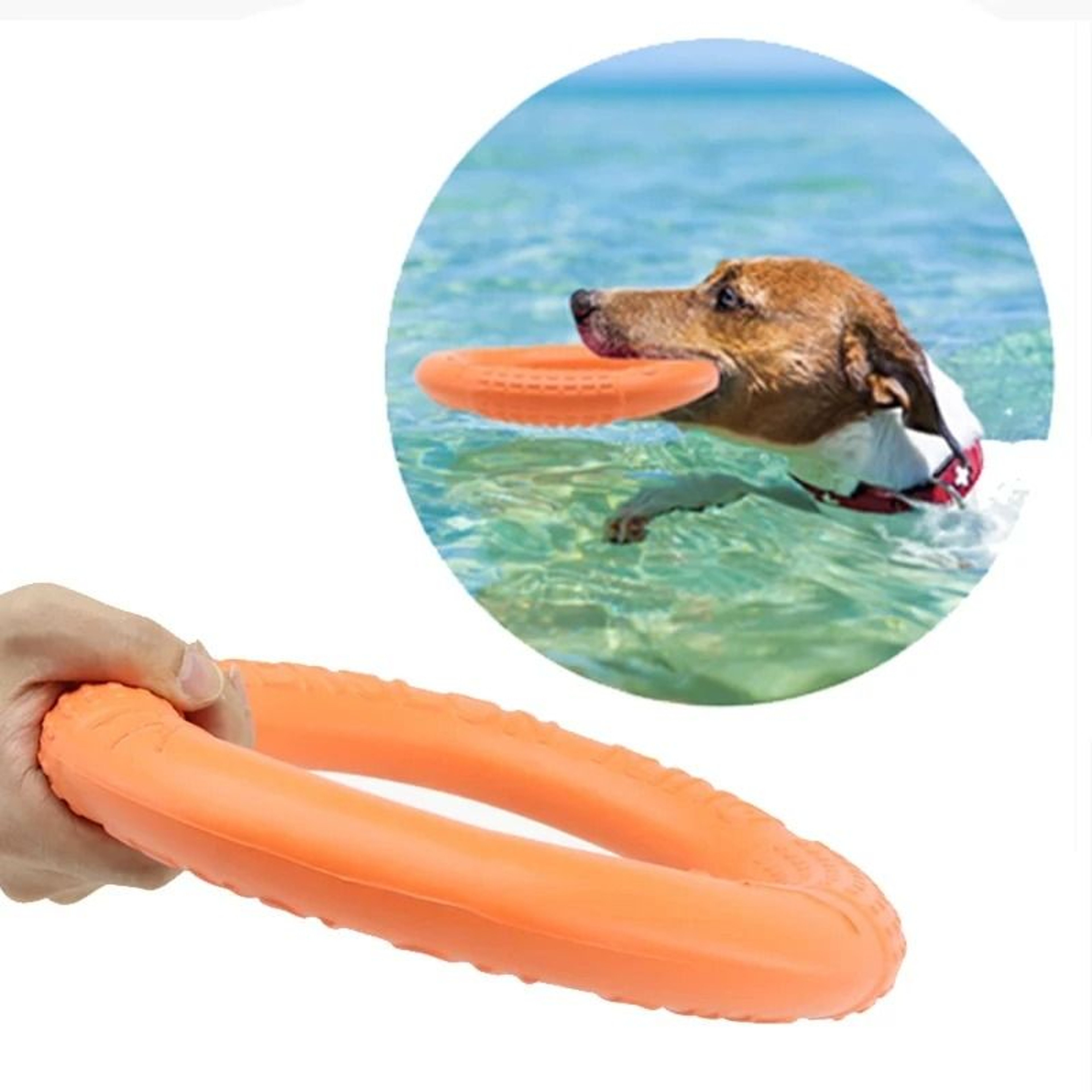 Floating Dog Training Ring Toy 2
