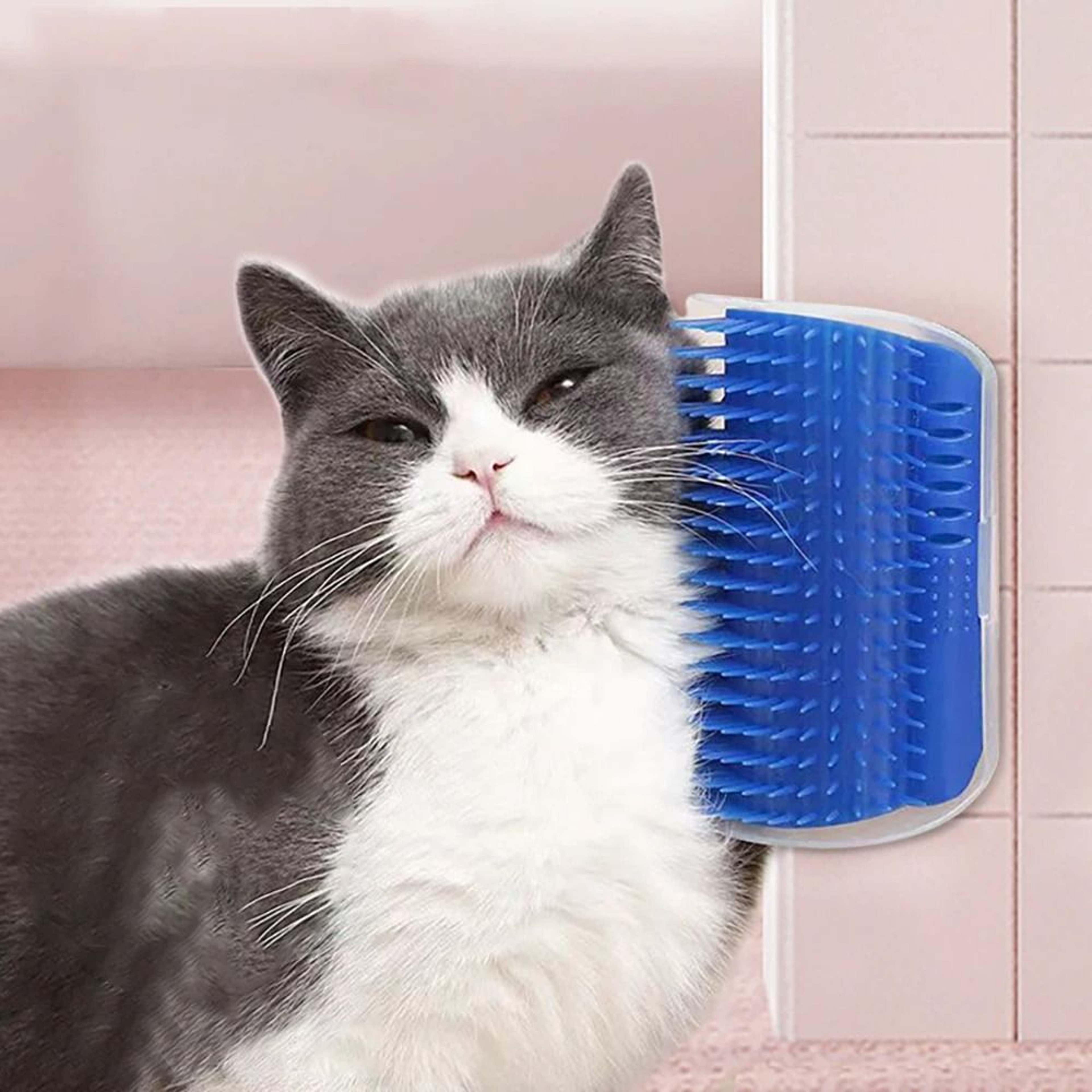Cat Grooming Massager Brush With Soft Bristles For Gentle Hair Removal 0