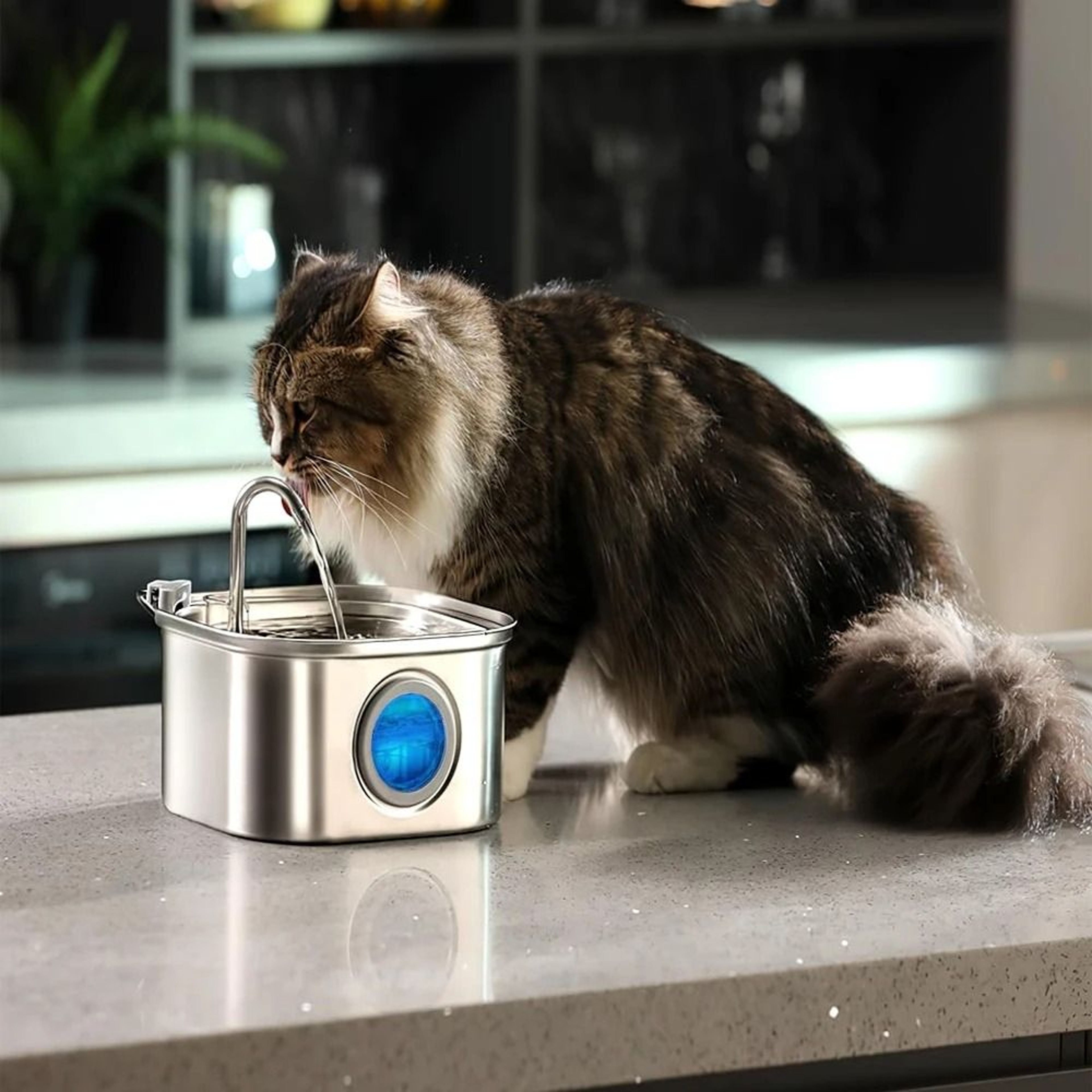 Stainless Steel 32 L Auto Pet Water Dispenser With Visual Window 2