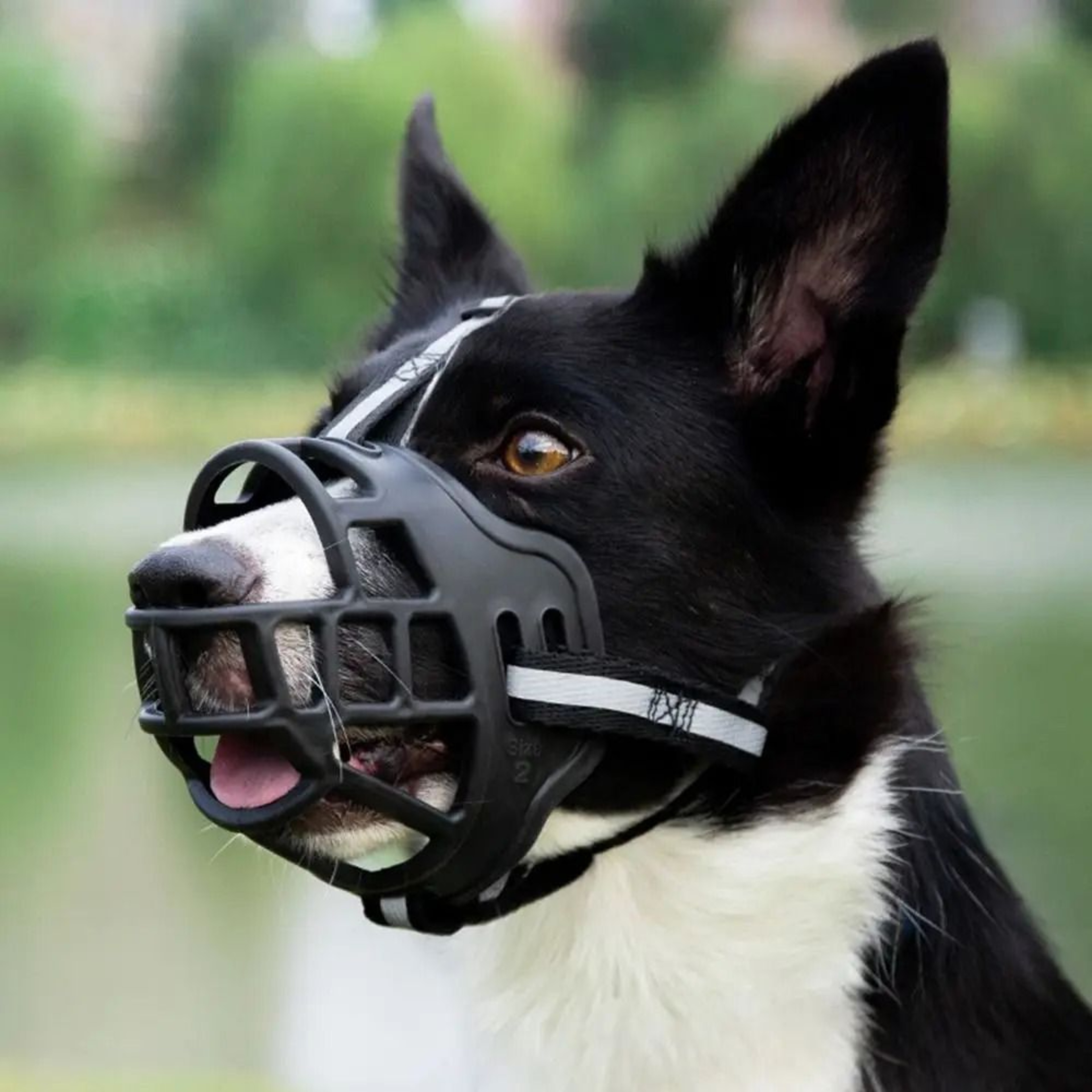 Adjustable Breathable Dog Muzzle For Barking Chewing And Safety 3