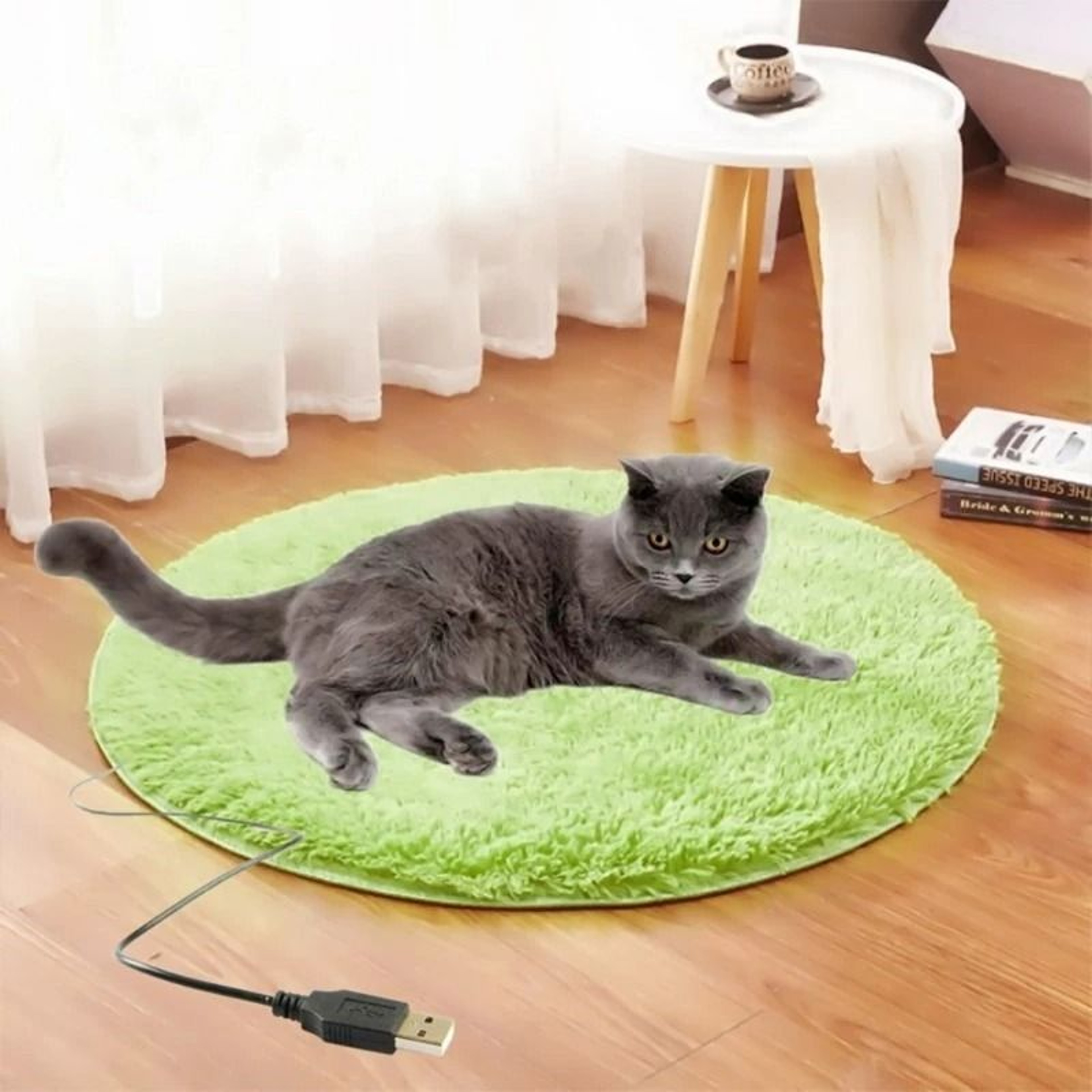 USB Heated Pet Blanket Pad For Cats And Dogs Comfort And Warmth 1