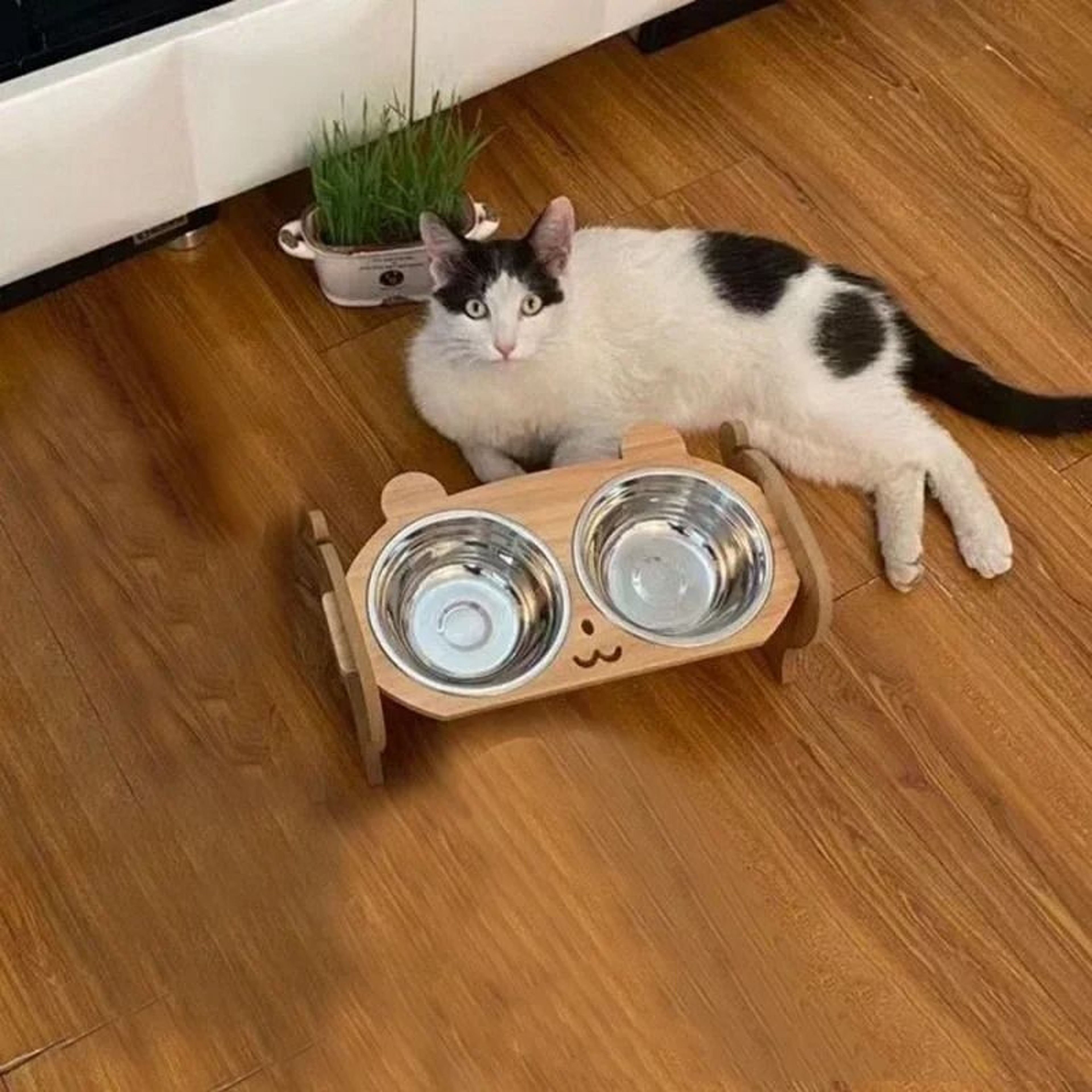 Elevated Wooden Pet Bowl With Stand For Cats And Small Dogs 3
