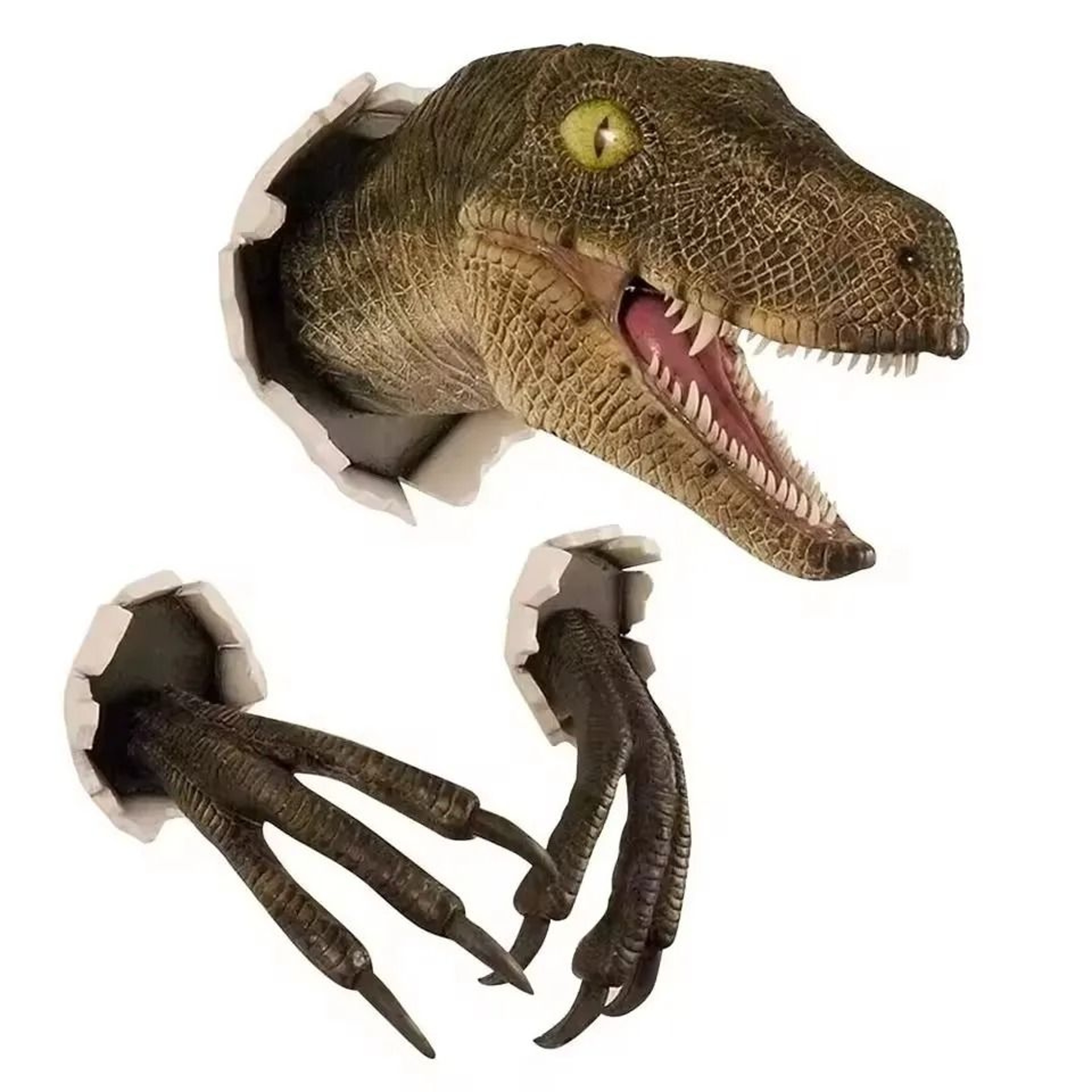 3D Wall Mounted Dinosaur Sculpture 5