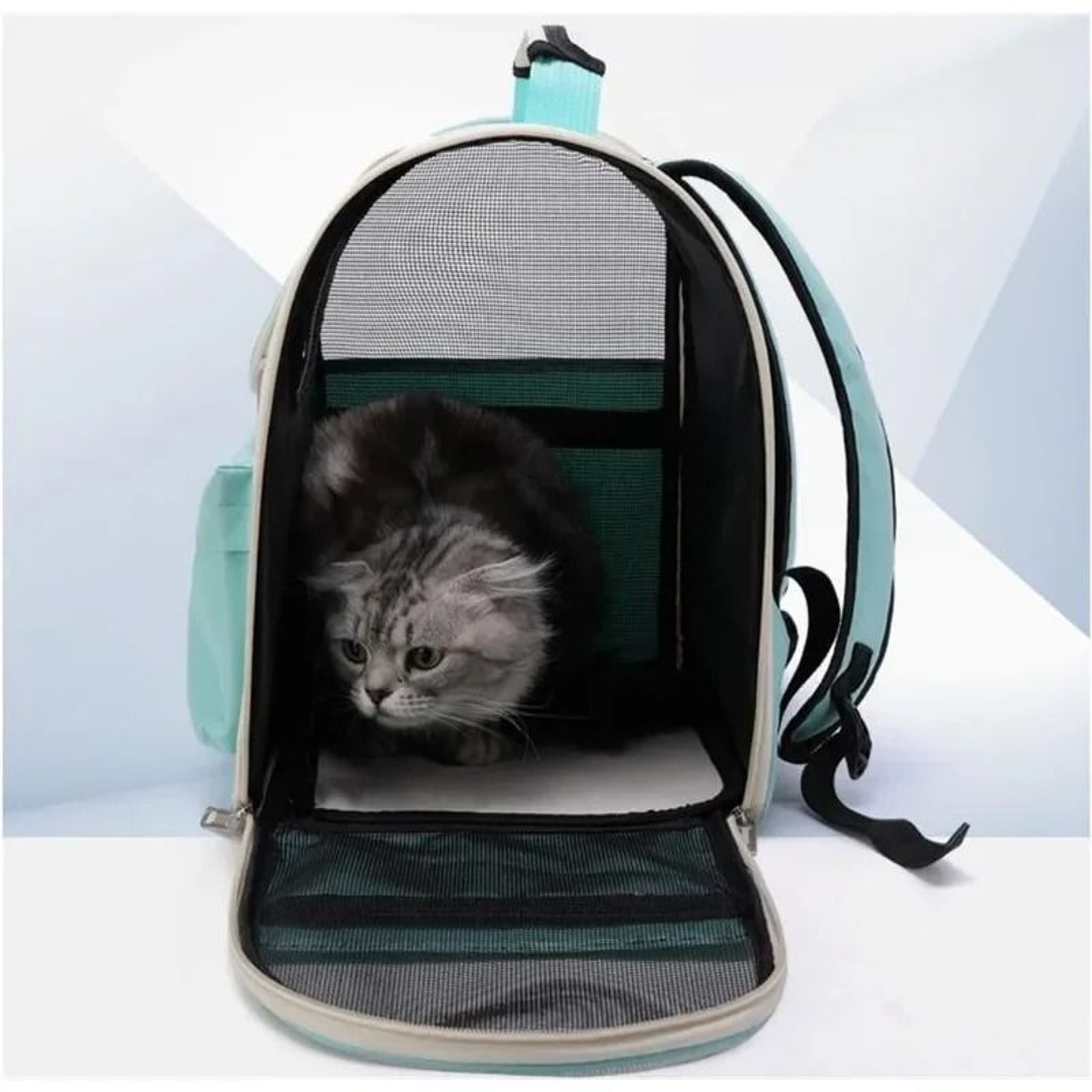 Panoramic Vista Pet Adventure Backpack 3