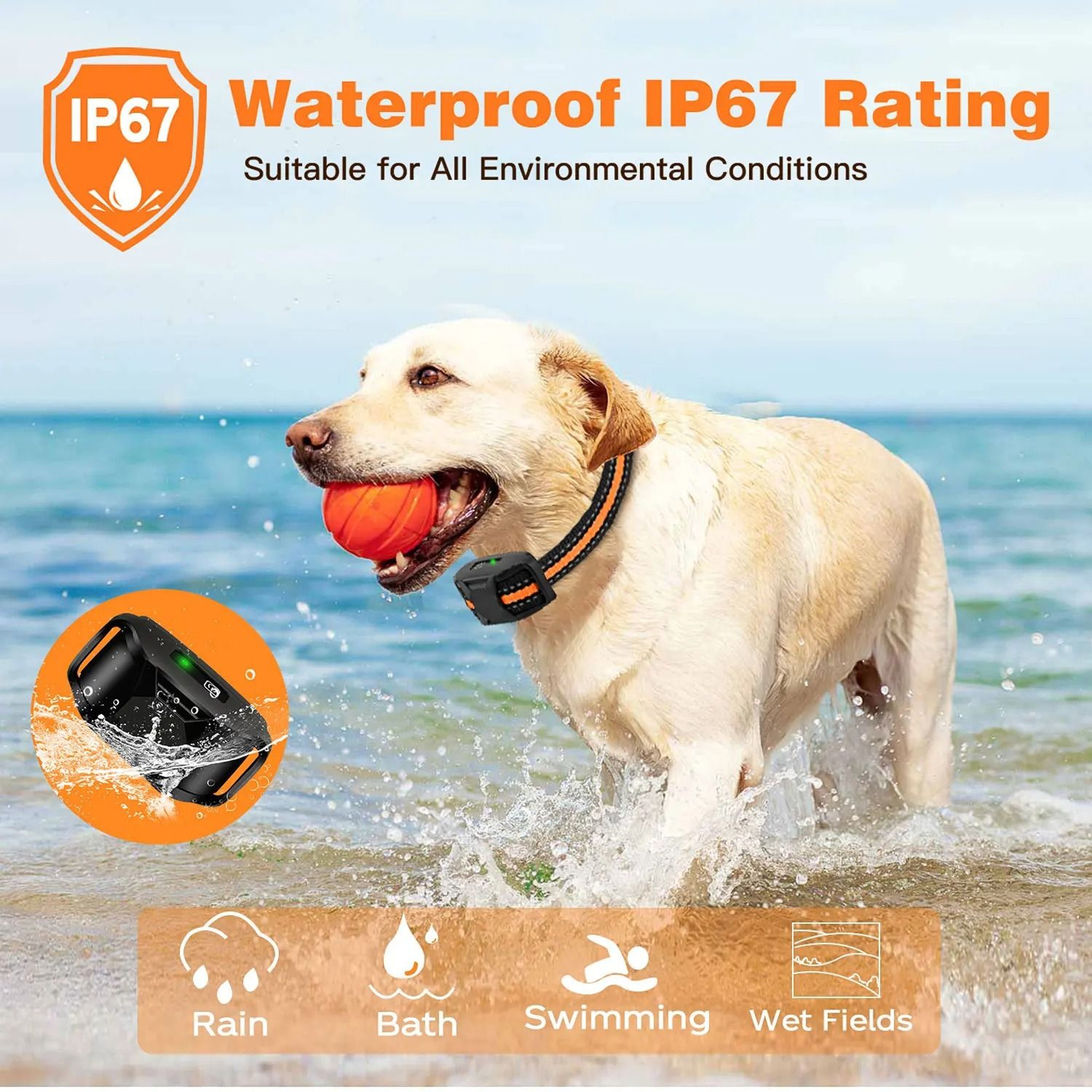 Electric Dog Training Collar 4