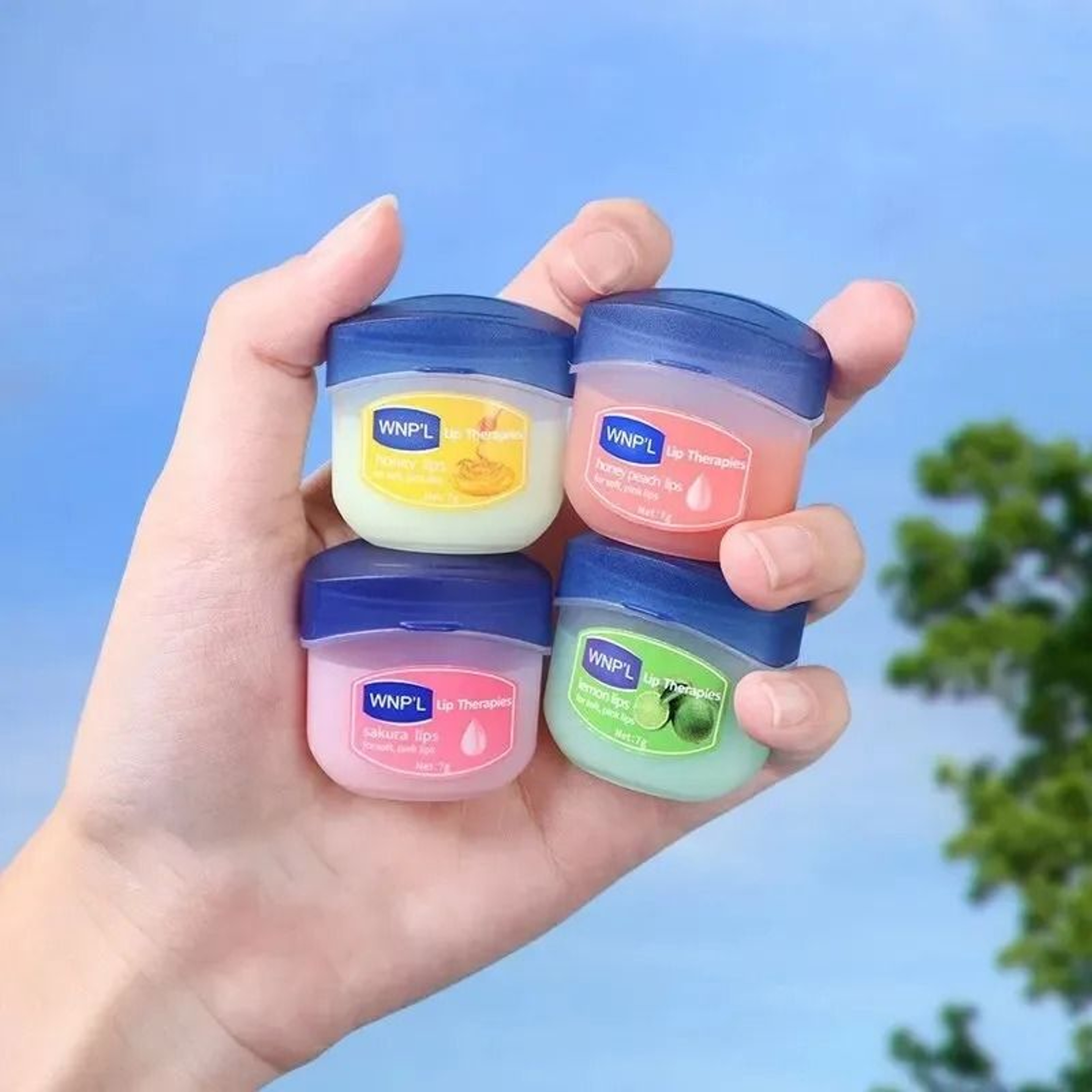Botanical Infusion Moisturizing Lip Balm Series 4