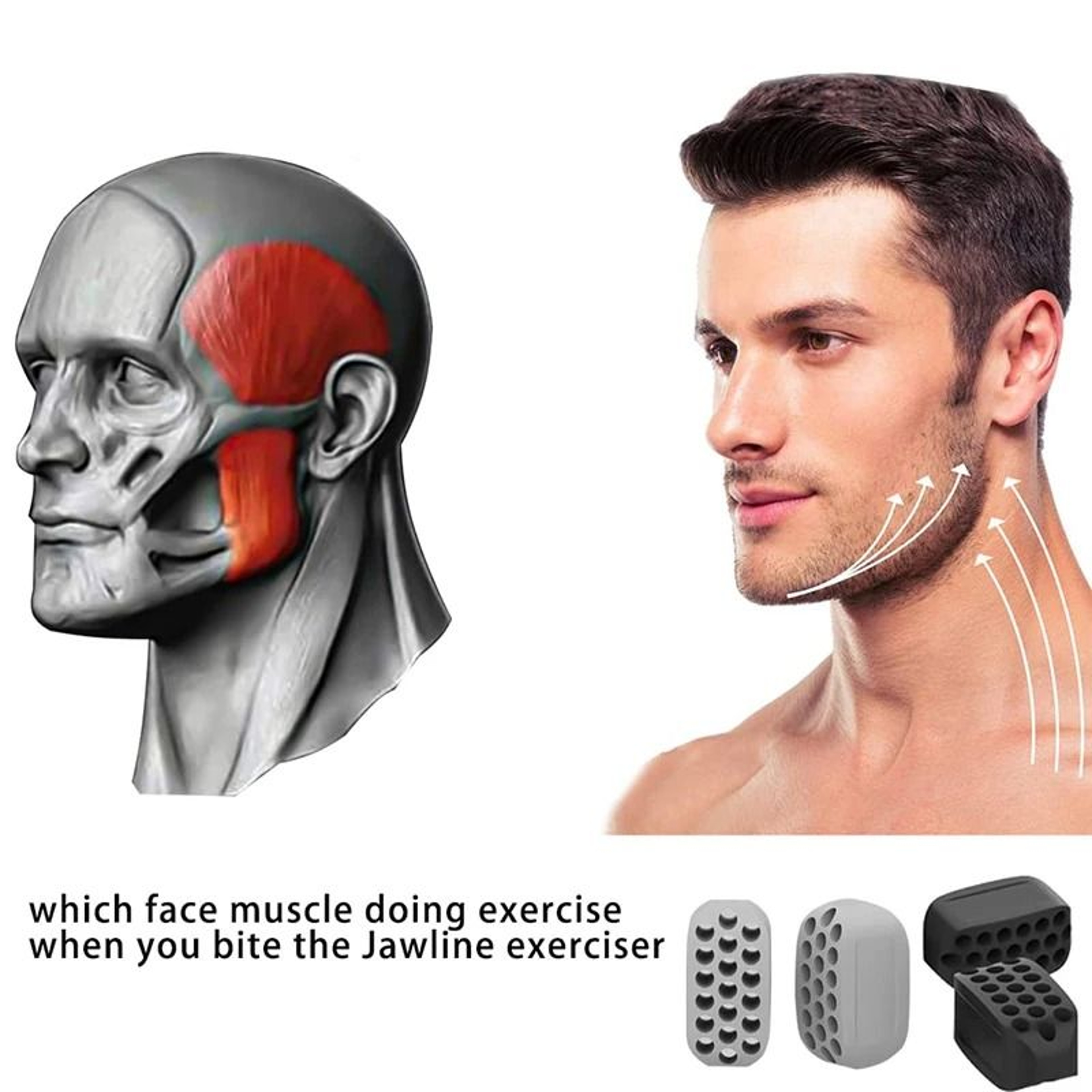 Silicone Jawline Architectural Fitness Series 4