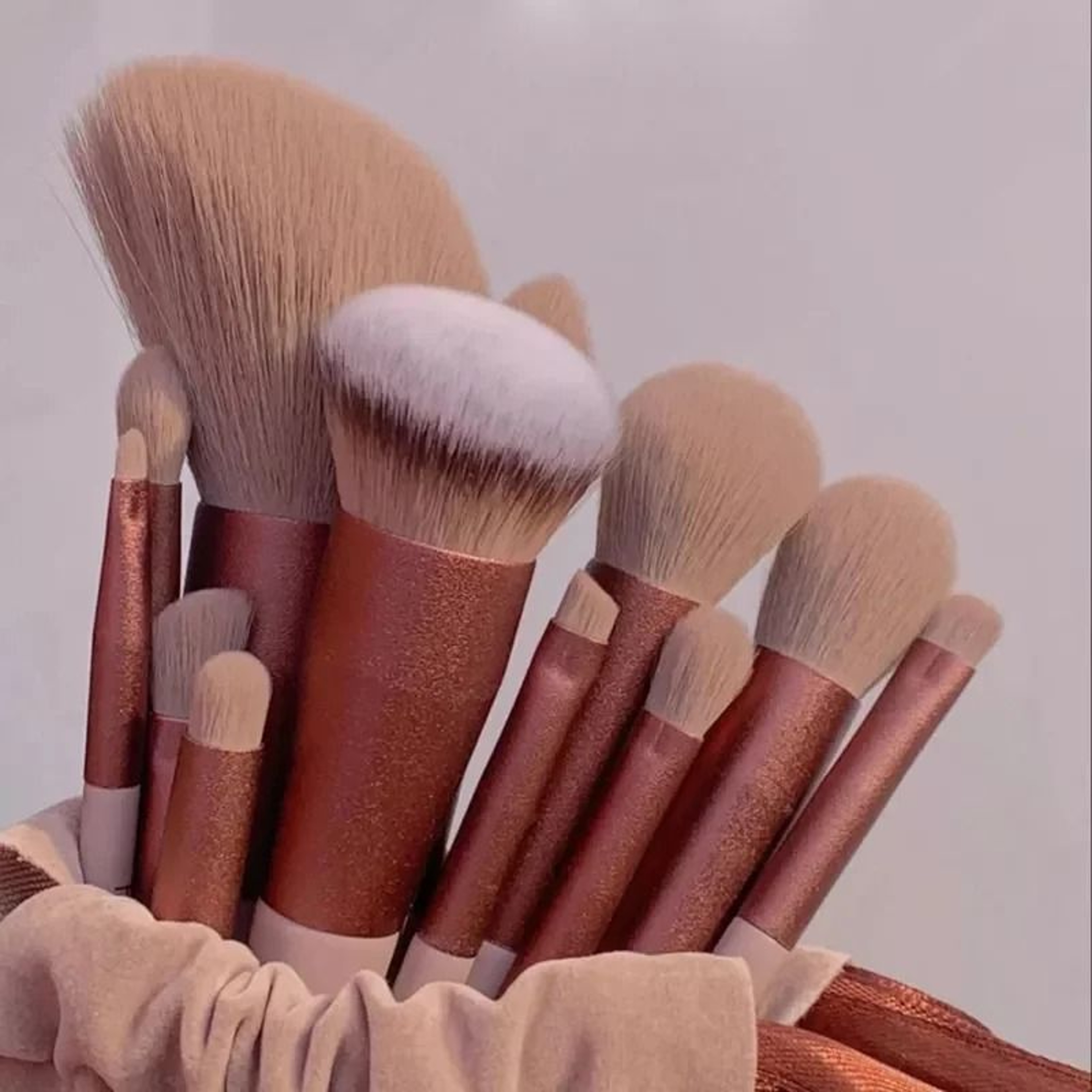 Professional 13 Piece Cosmetic Application System 1