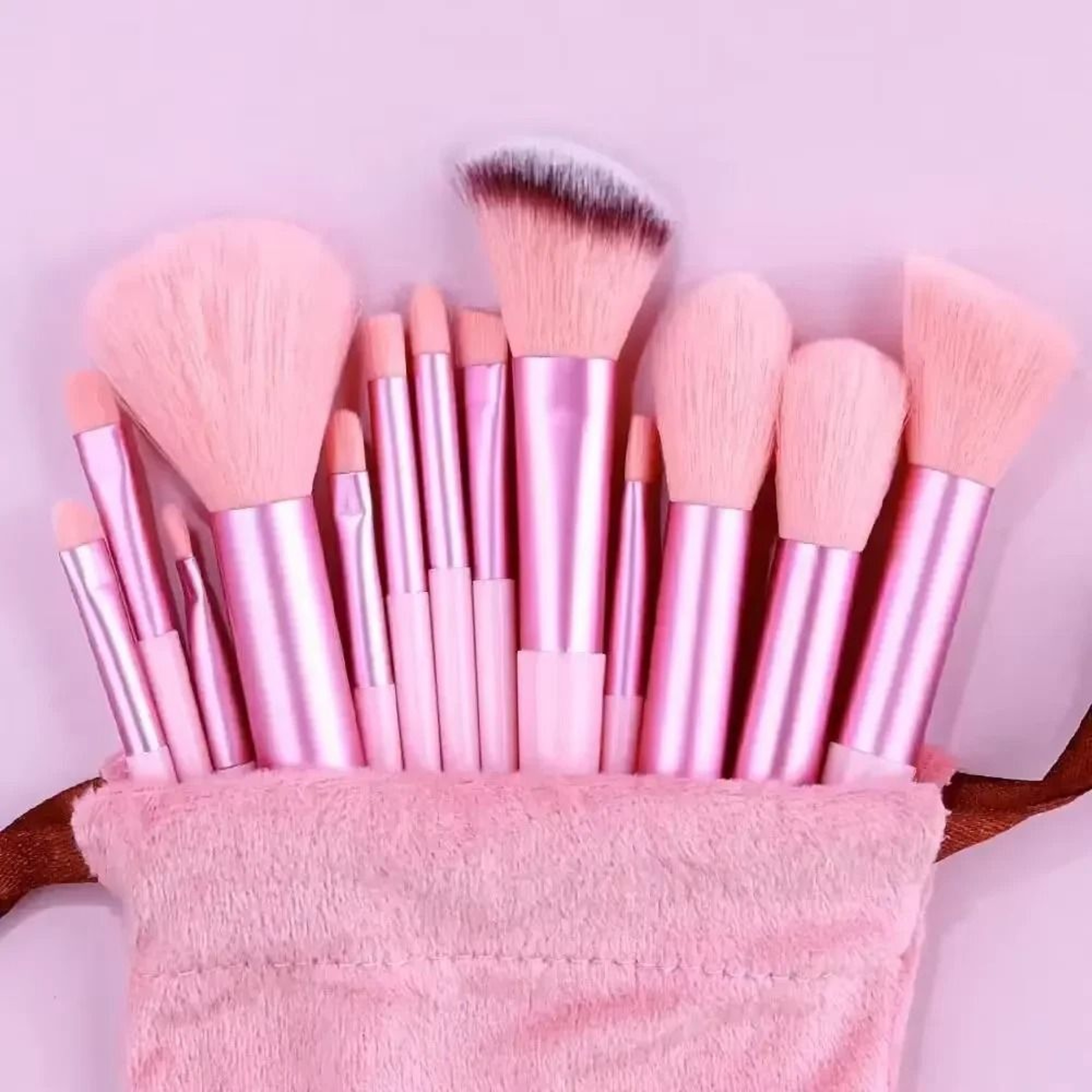 Professional 13 Piece Cosmetic Application System 16
