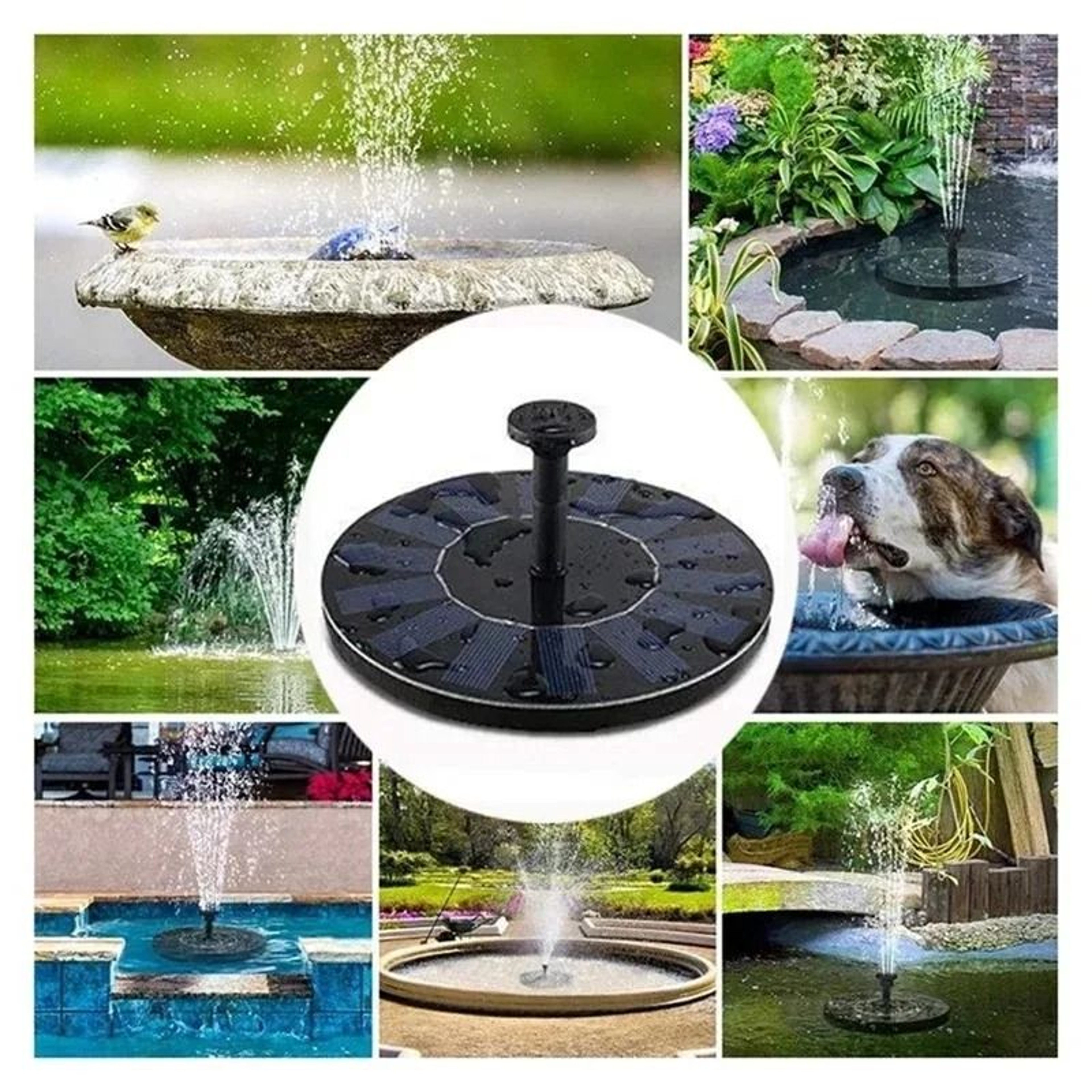Solar Powered Floating Ecosystem Fountain 5