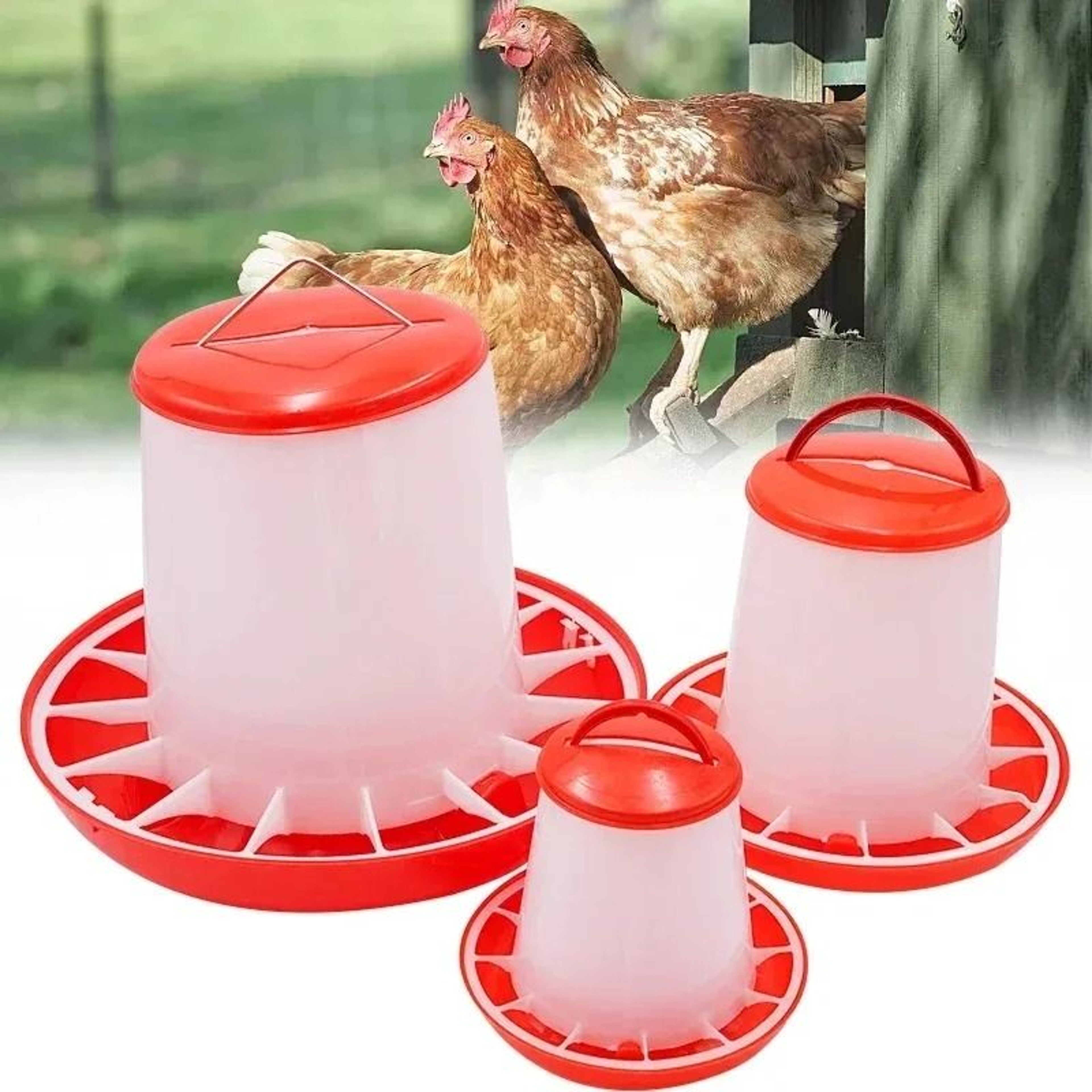 Heavy Duty Automatic Poultry Feeding System 1