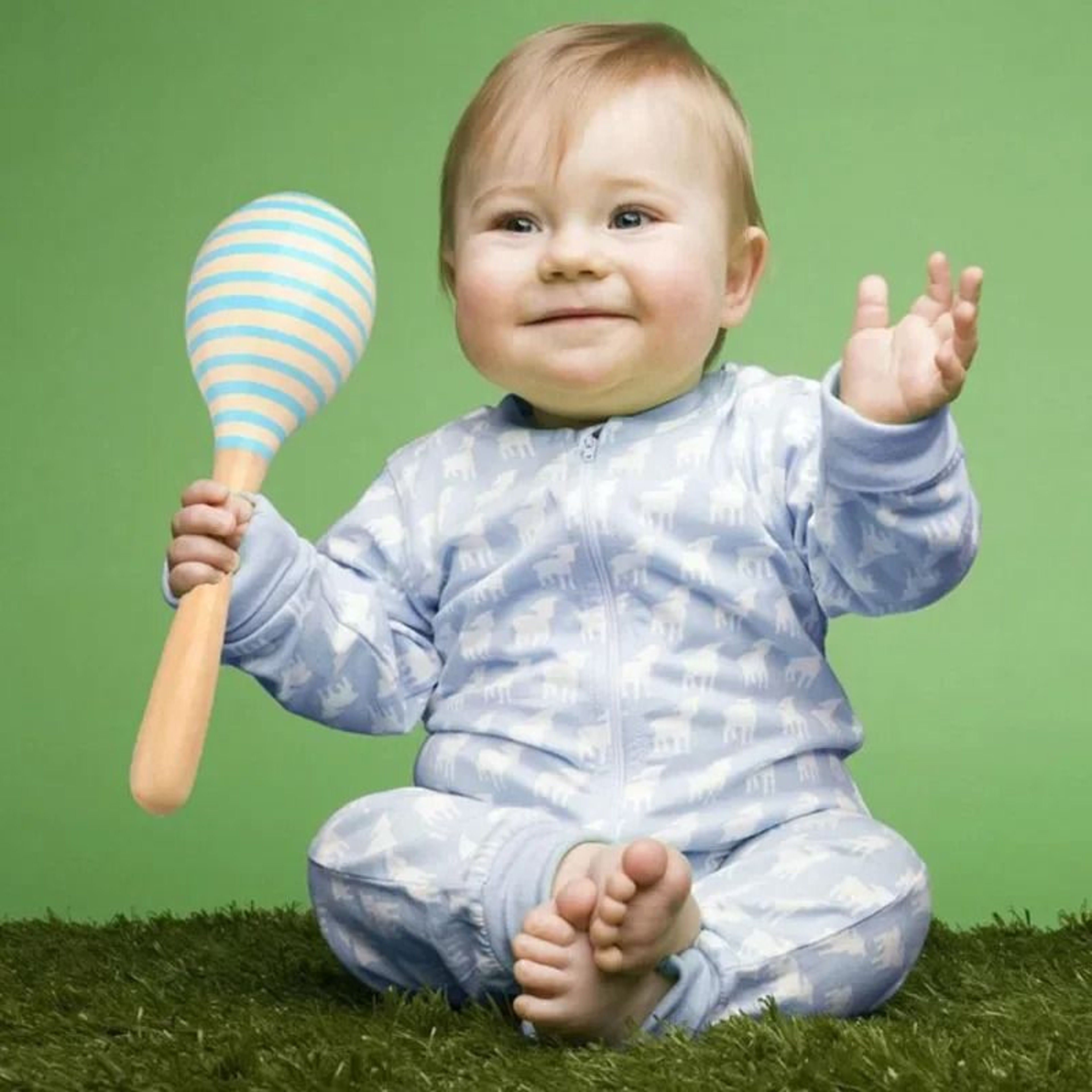 Natural Wood Pediatric Rattle And Rhythm Shaker 0