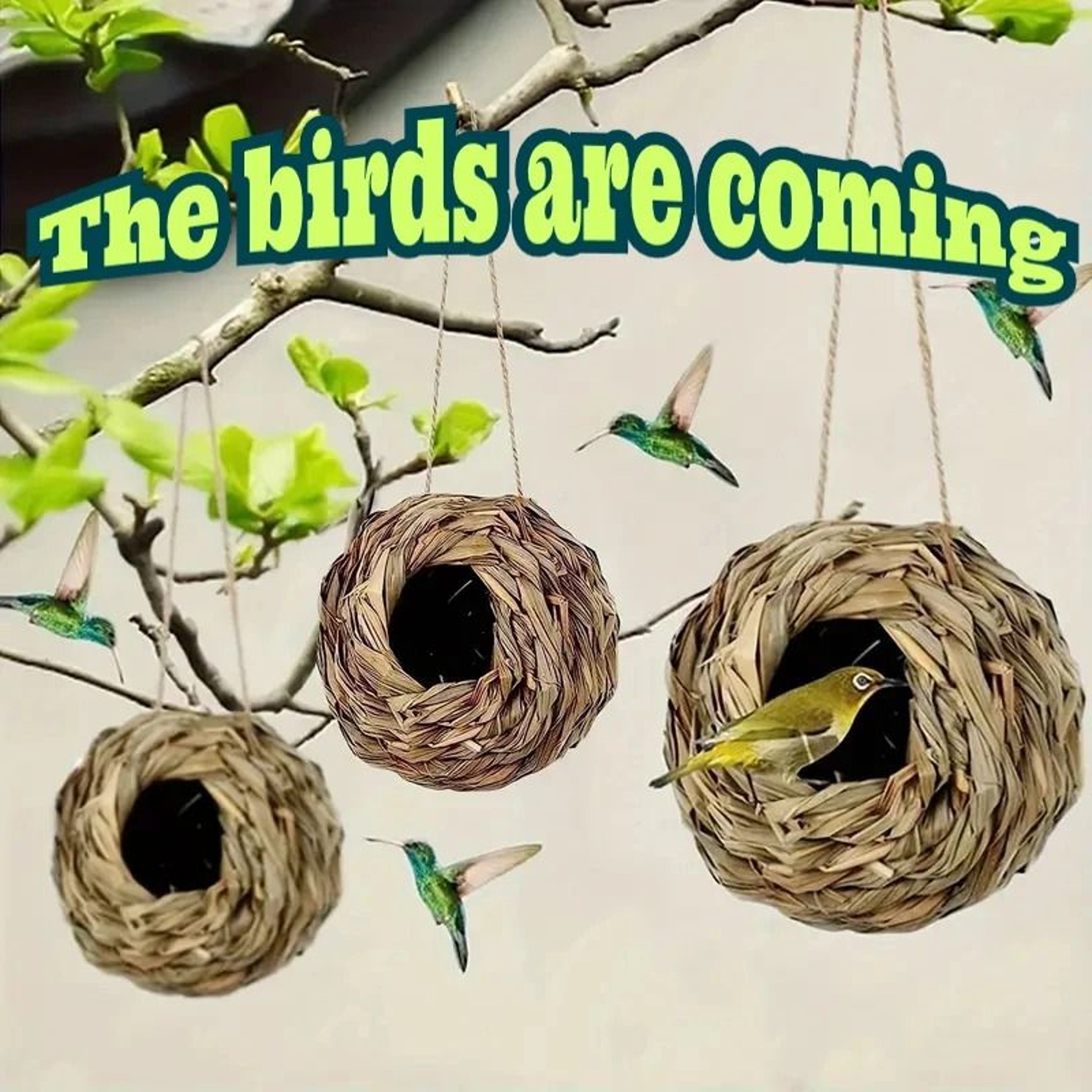 Natural Weaved Grass Avian Sanctuary Shield 0
