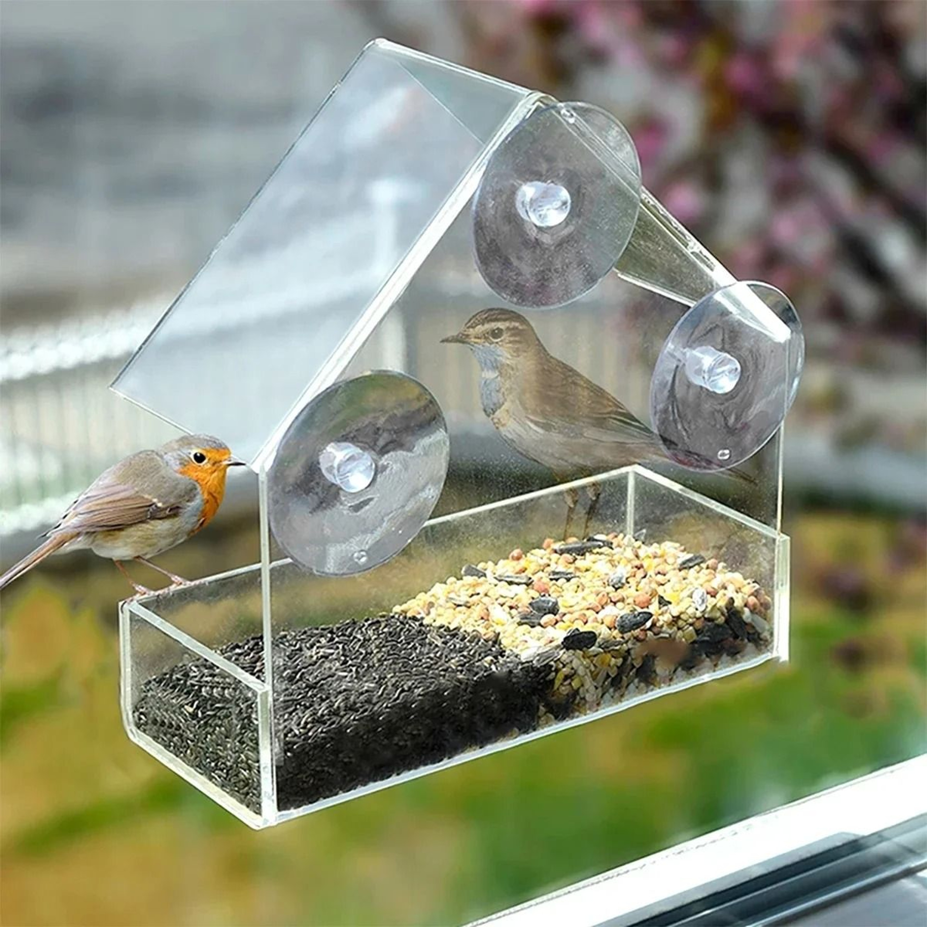 Clear View Window Bird Feeder 0