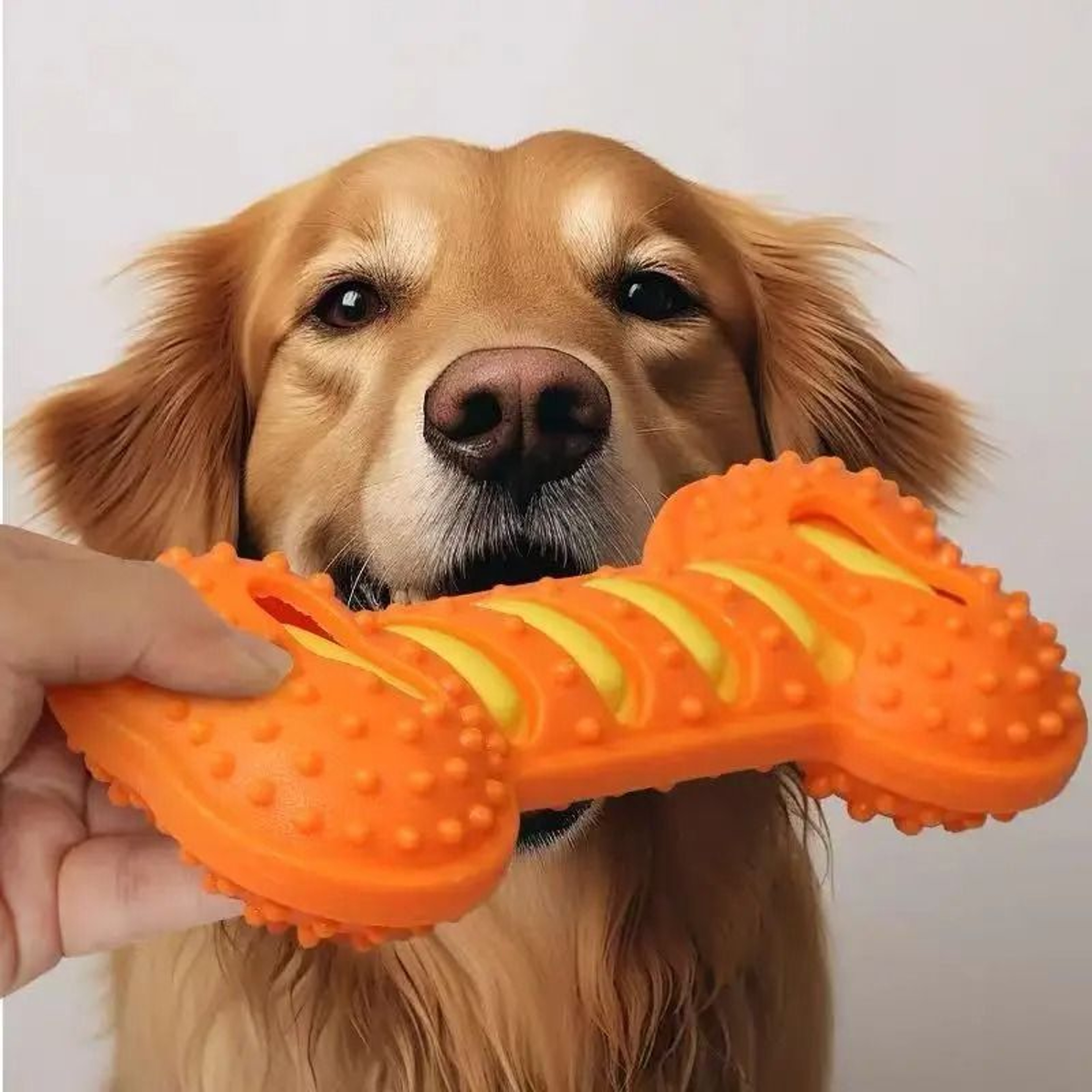 Heavy Duty Squeaky Rubber Bone Chew Toy 7