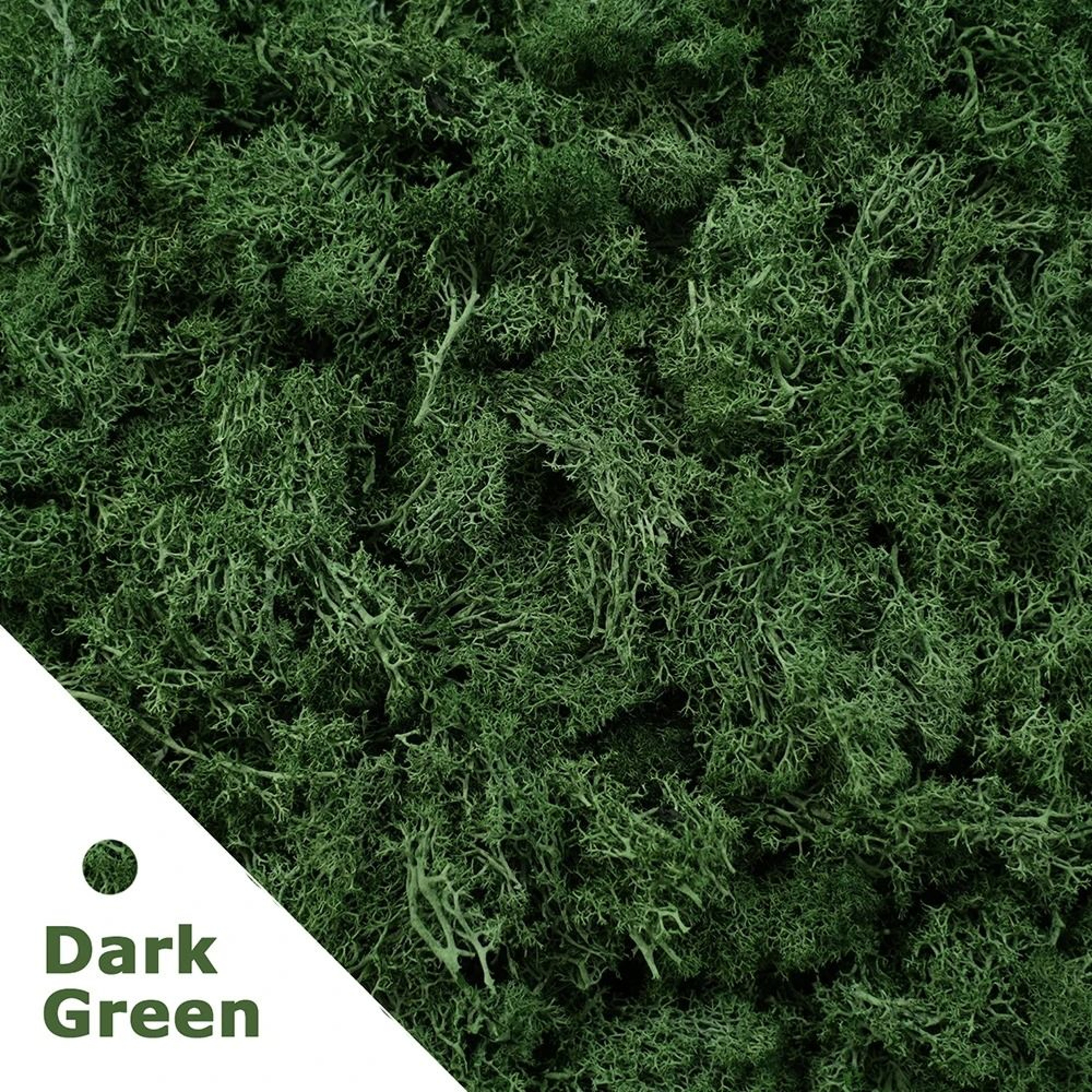 Premium Eternal Life Preserved Artificial Moss Grass 6