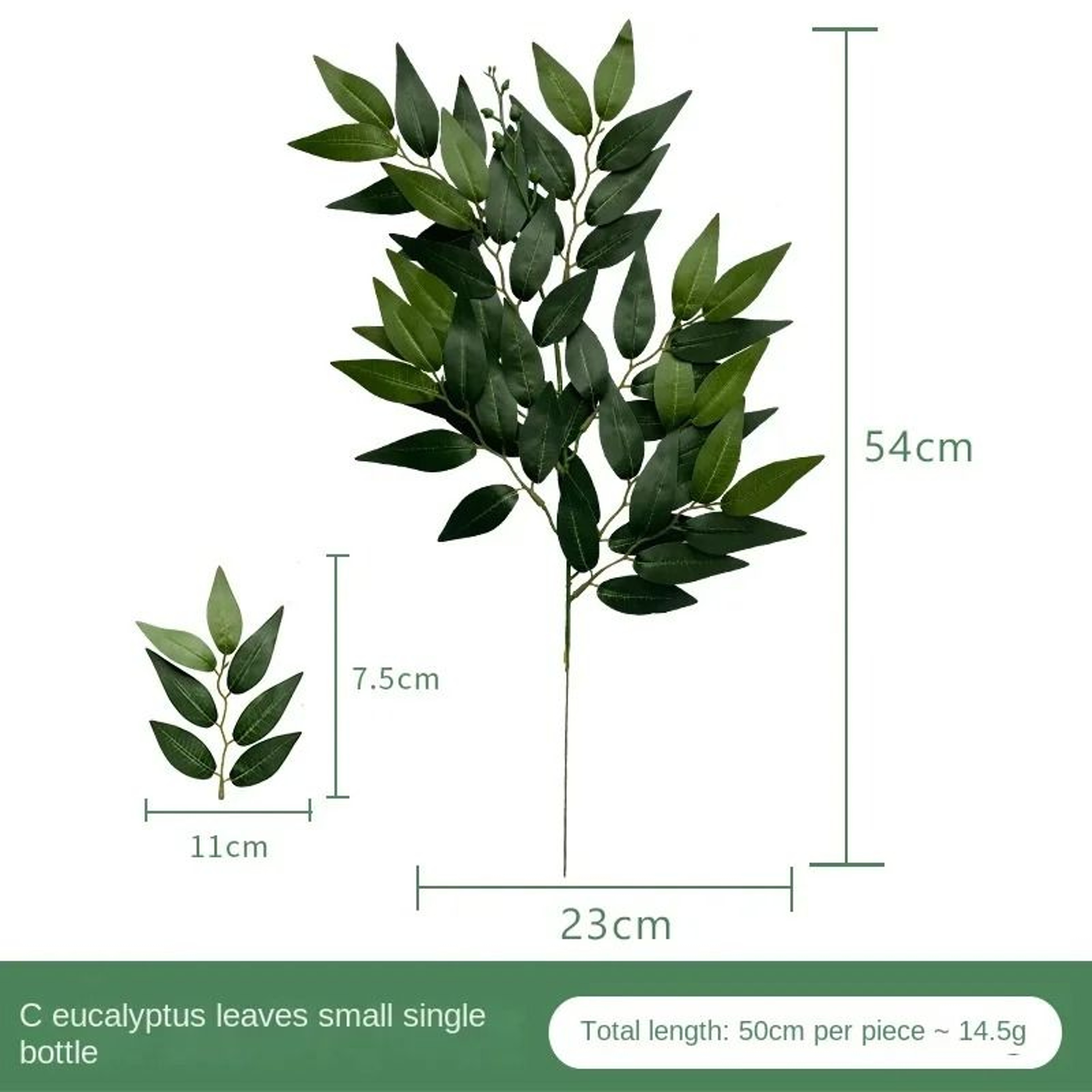 Silver Dollar Artificial Eucalyptus Greenery Stem 9