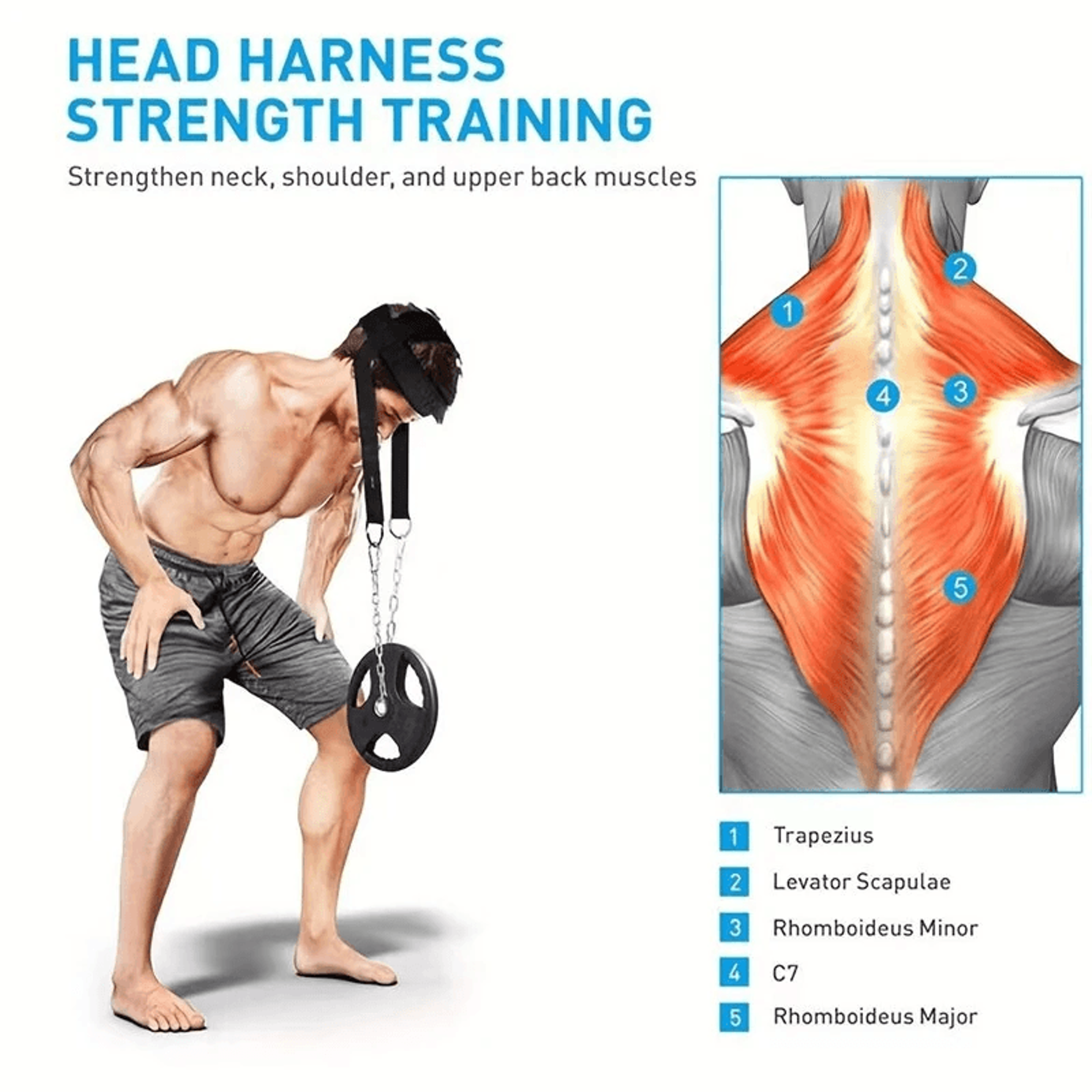 Adjustable Neck Training Harness With Chain For Strength And Resistance Workouts 3