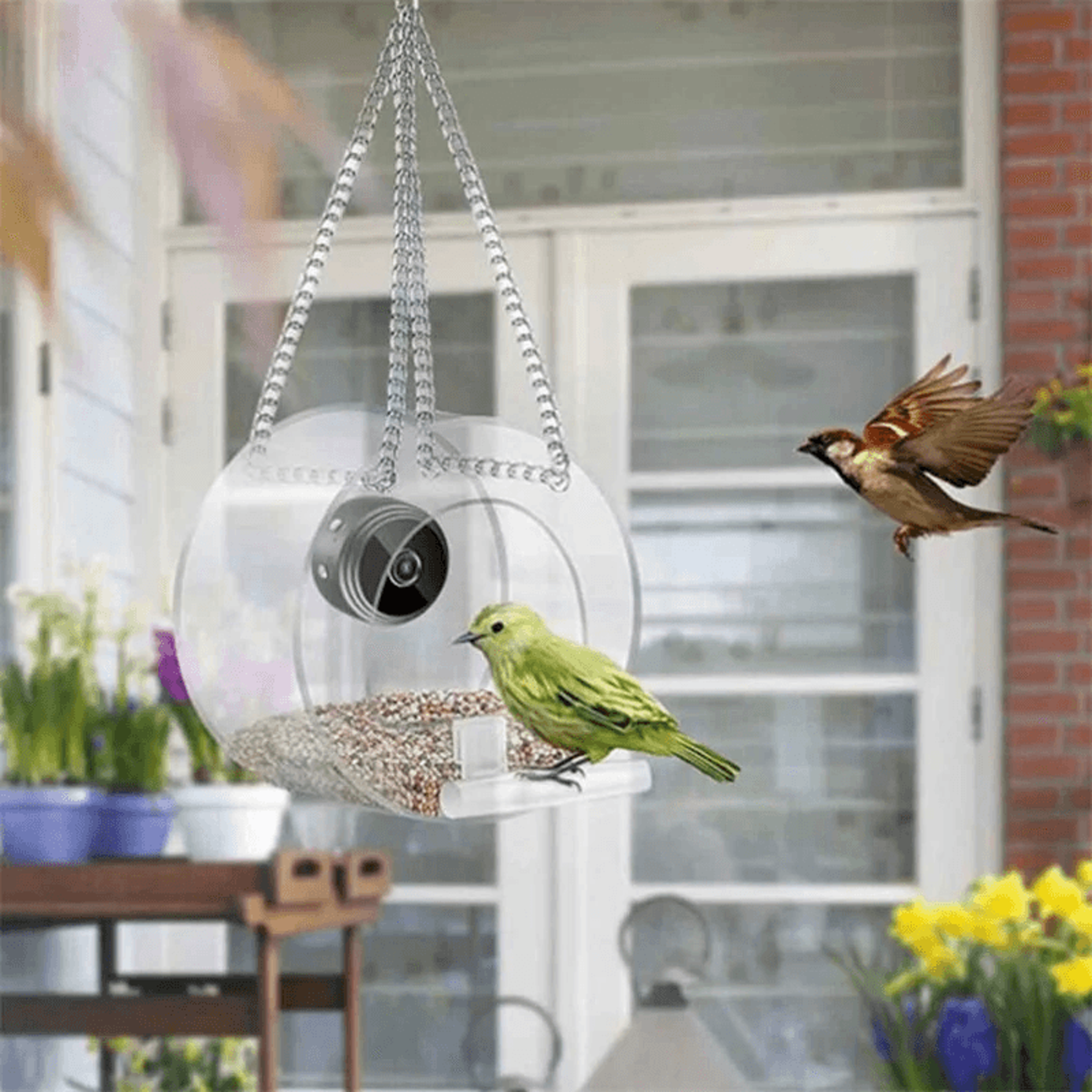 Smart Bird Feeder Camera HD WiFi Birdwatching Feeder With Night Vision 1
