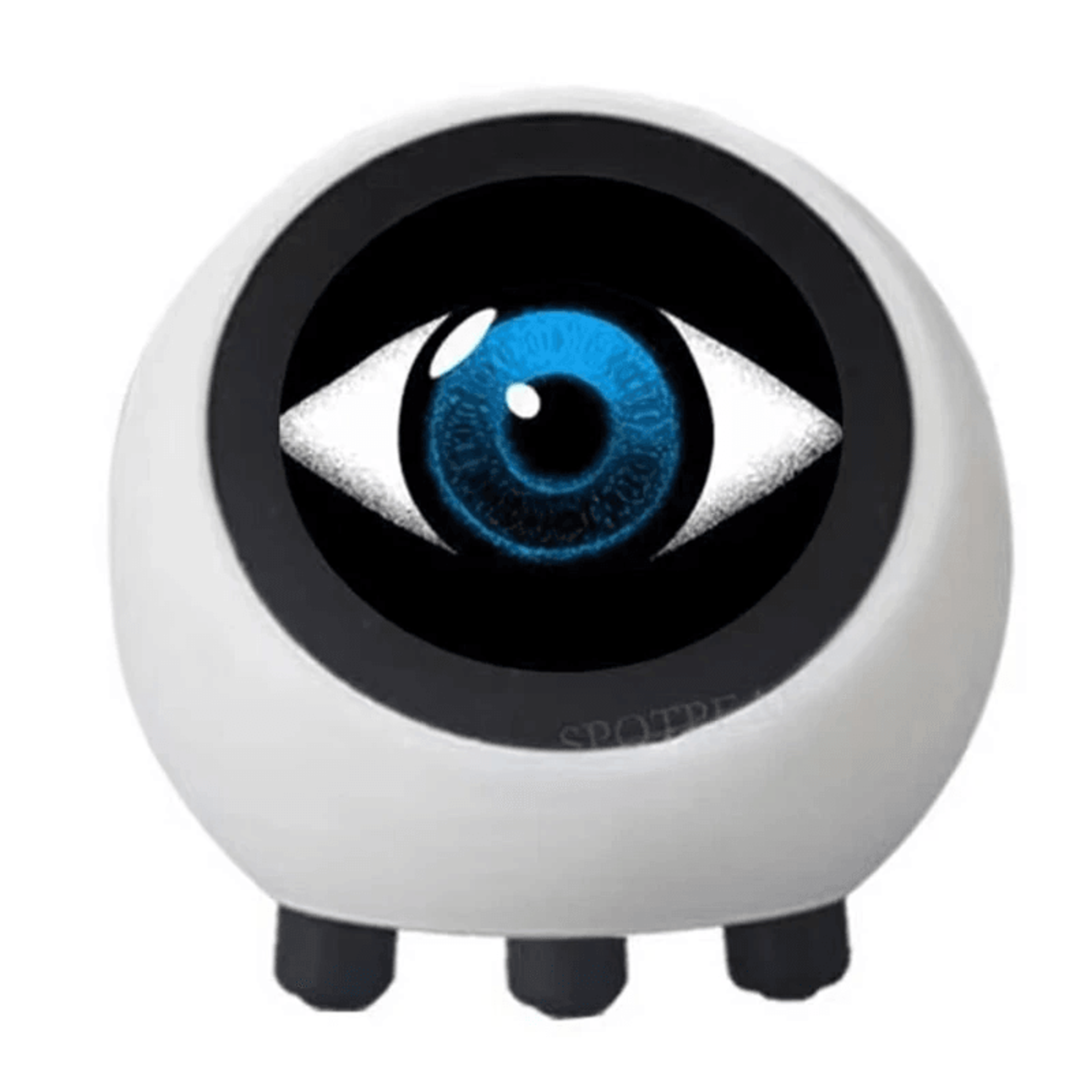 AI Voice Chat Robot With IPS Round Display 2