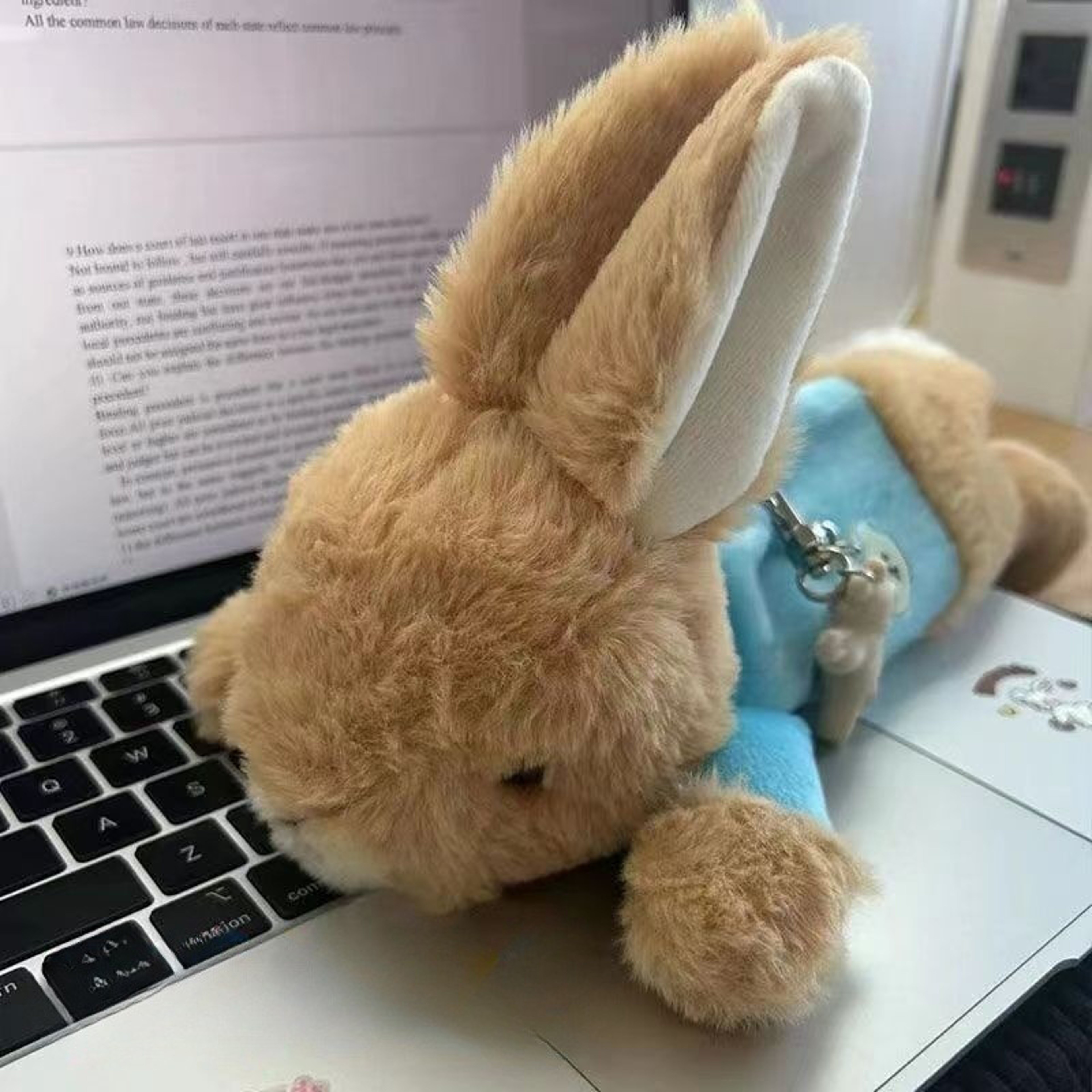 Cute Rabbit Plush Pencil Case Large Capacity Stationery Organizer for Students – view 6