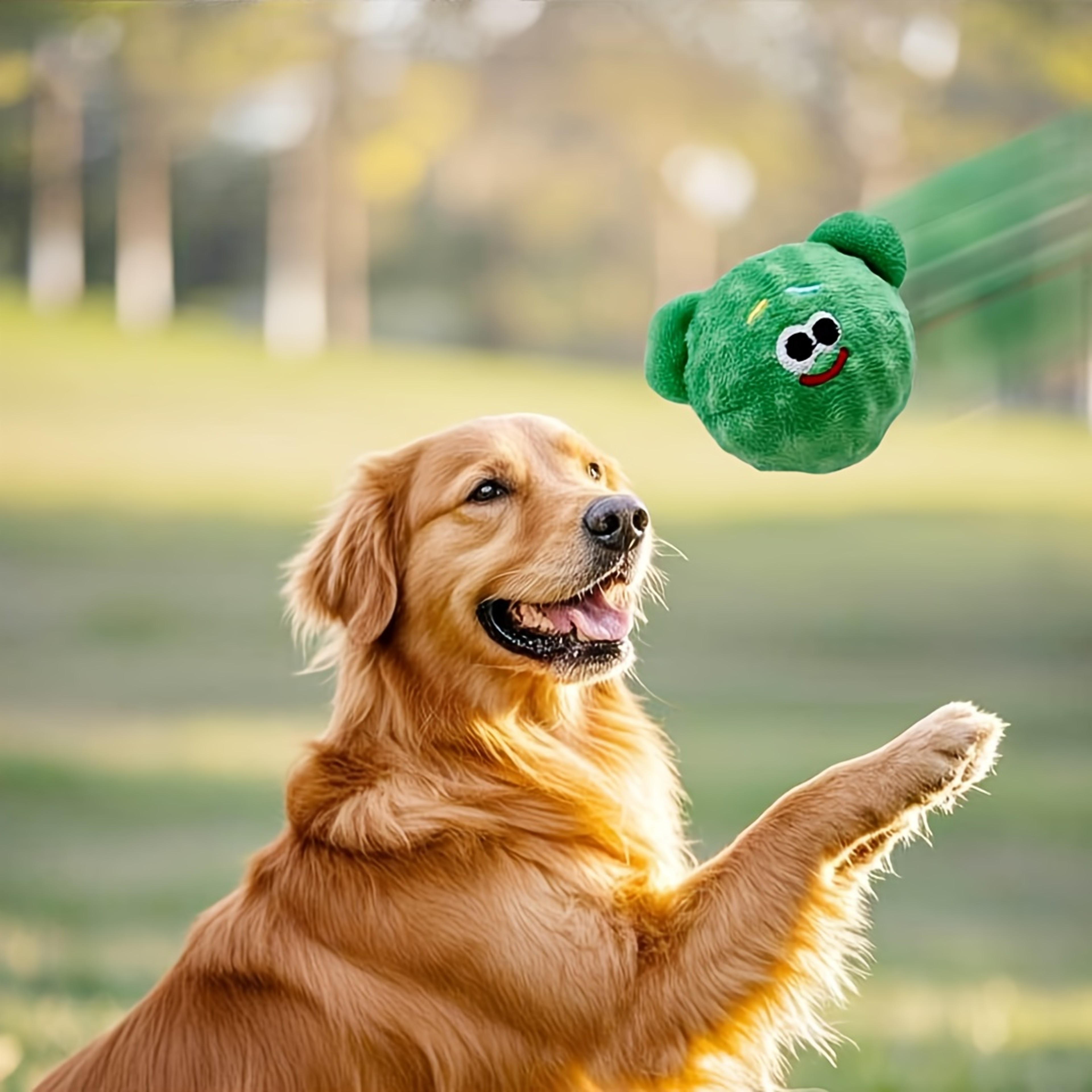 Durable Squeaky Dog Ball Toy Chew Resistant Interactive Fetch Ball For Puppies 4