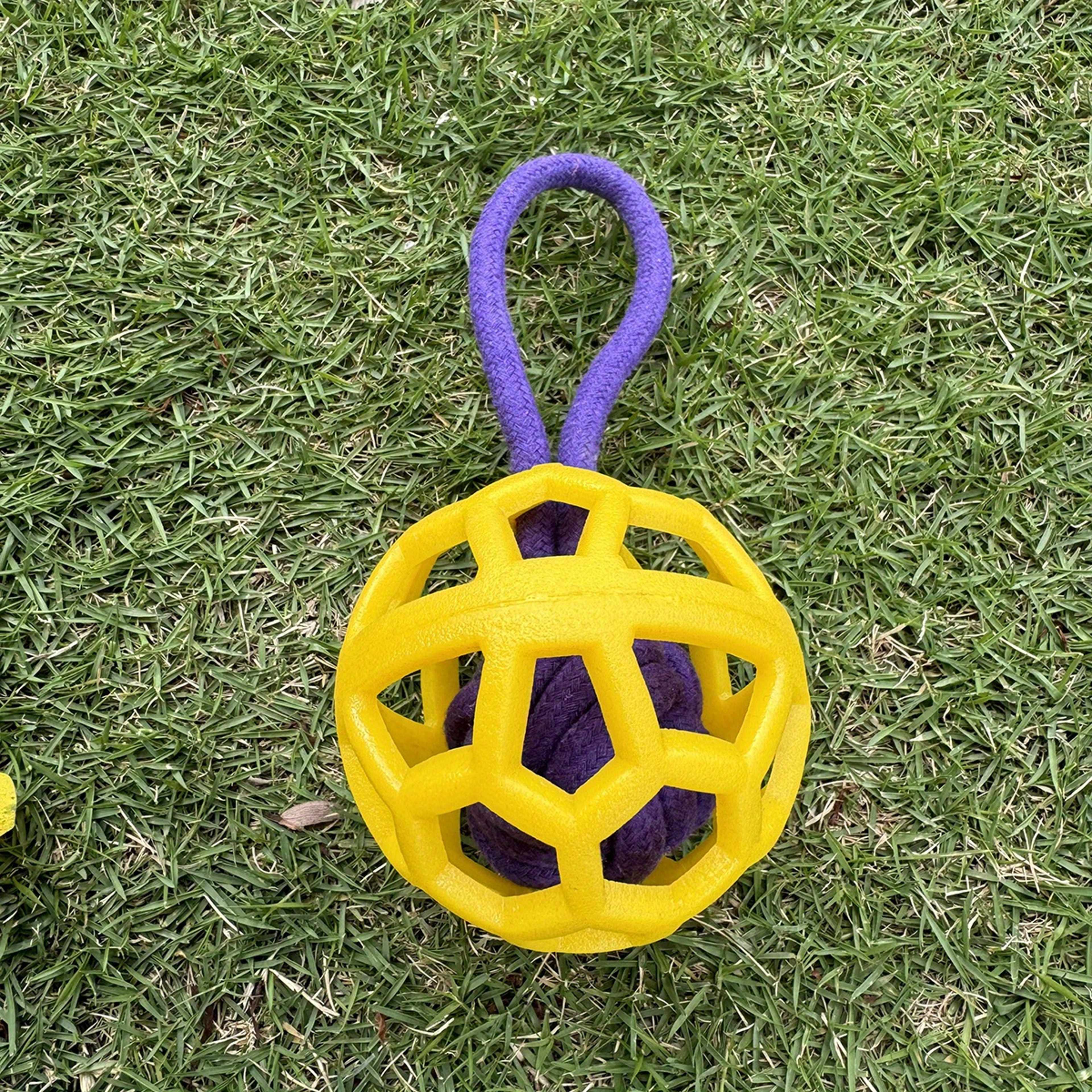 Durable TPR Dog Chew Ball With Rope Handle Interactive Training Toy 5