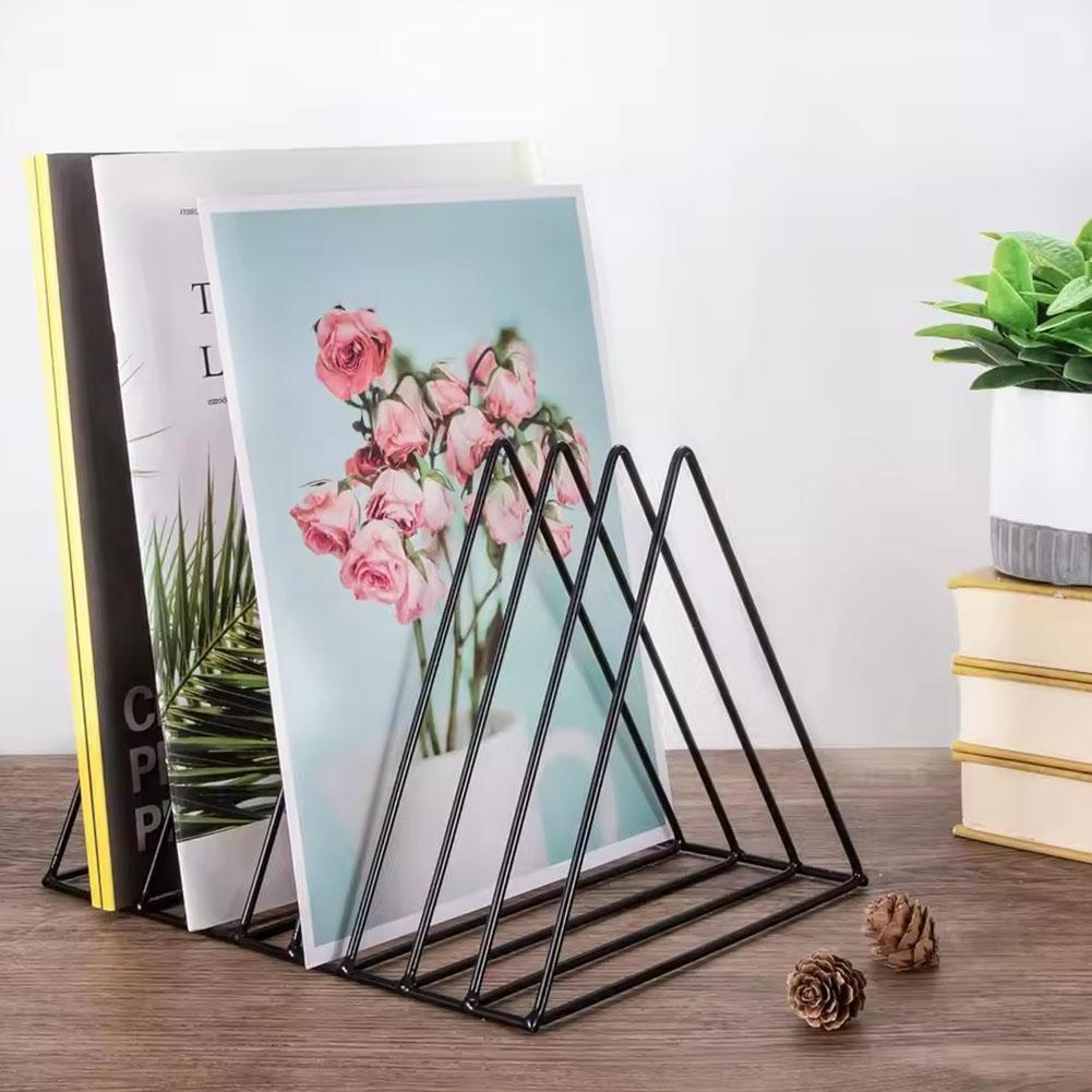 Nine Grid Vinyl Record Storage Rack And Album Display Organizer 3
