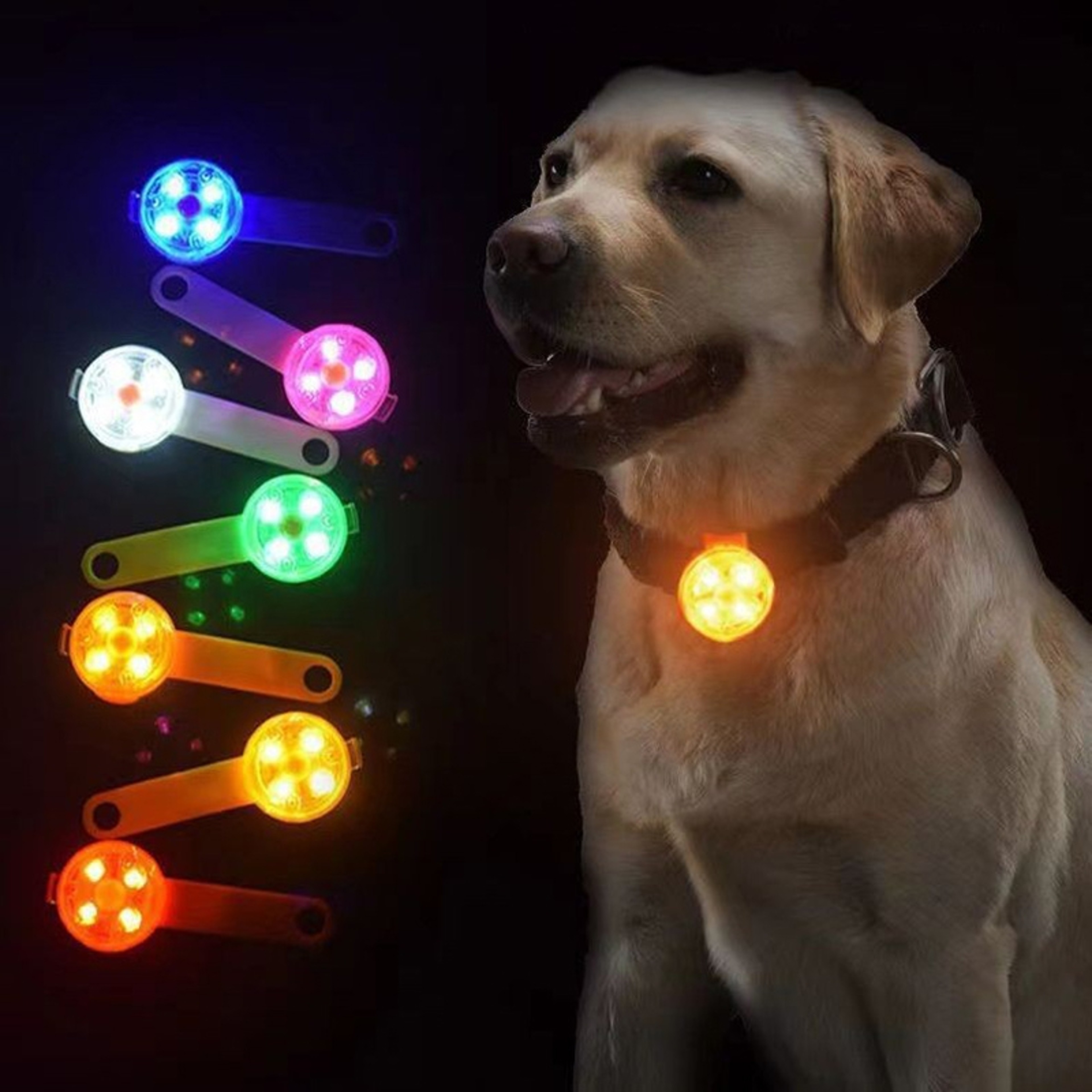 Rechargeable LED Dog Collar Light For Night Safety And Visibility 1