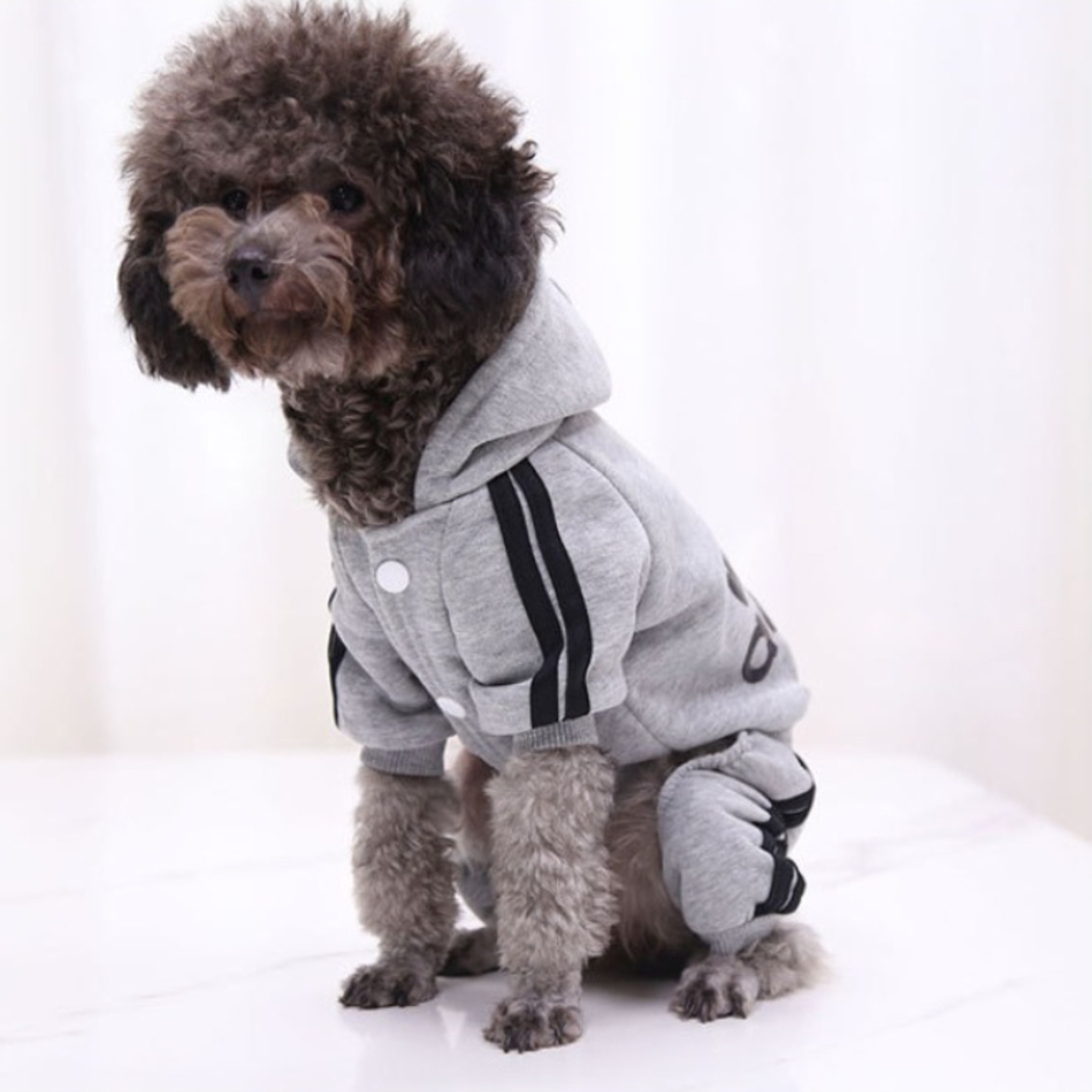 Sporty Dog Hoodie with Hat Lightweight Polyester Puppy Sweatshirt – view 3
