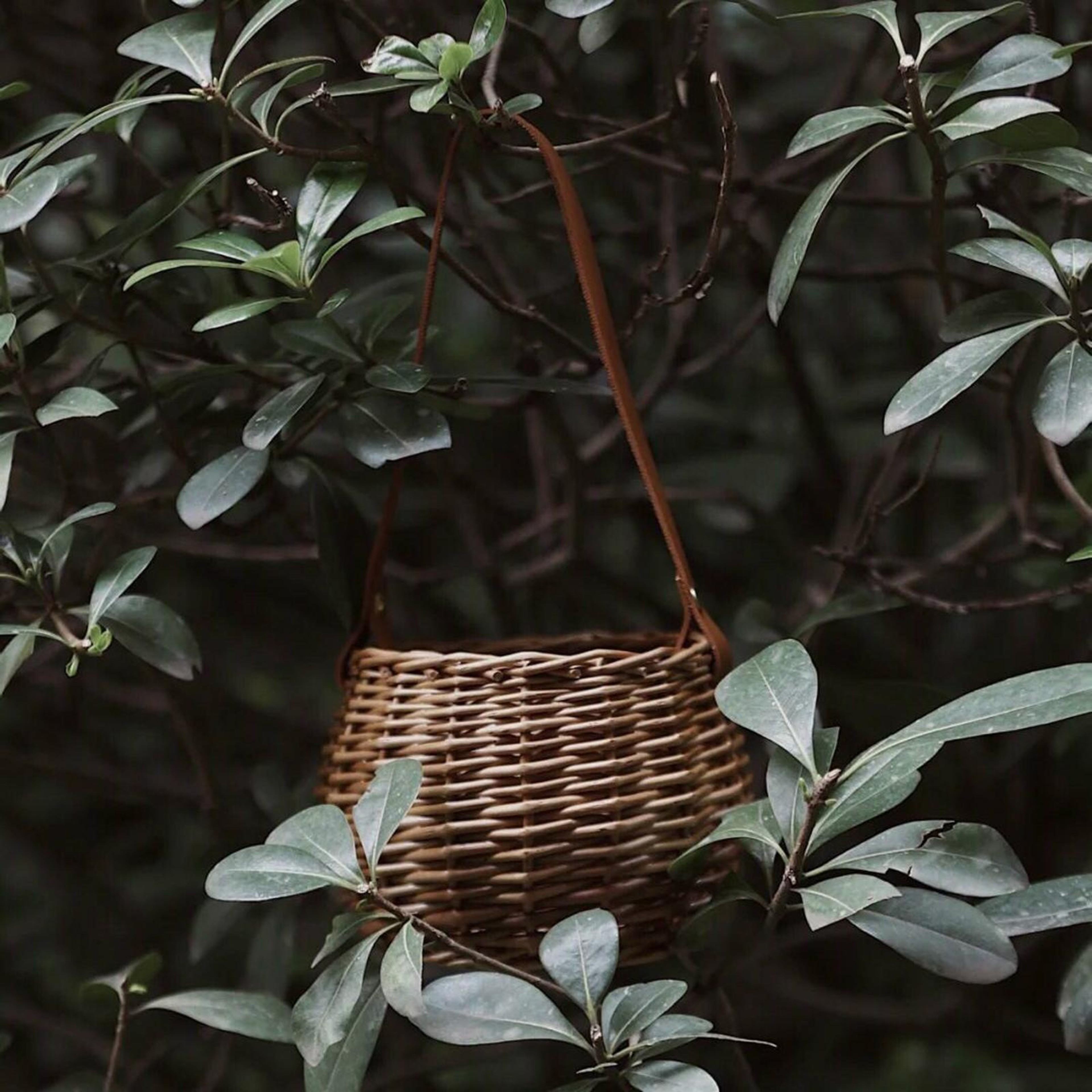 Natural Seagrass Woven Plant Basket with Leather Handles – view 5