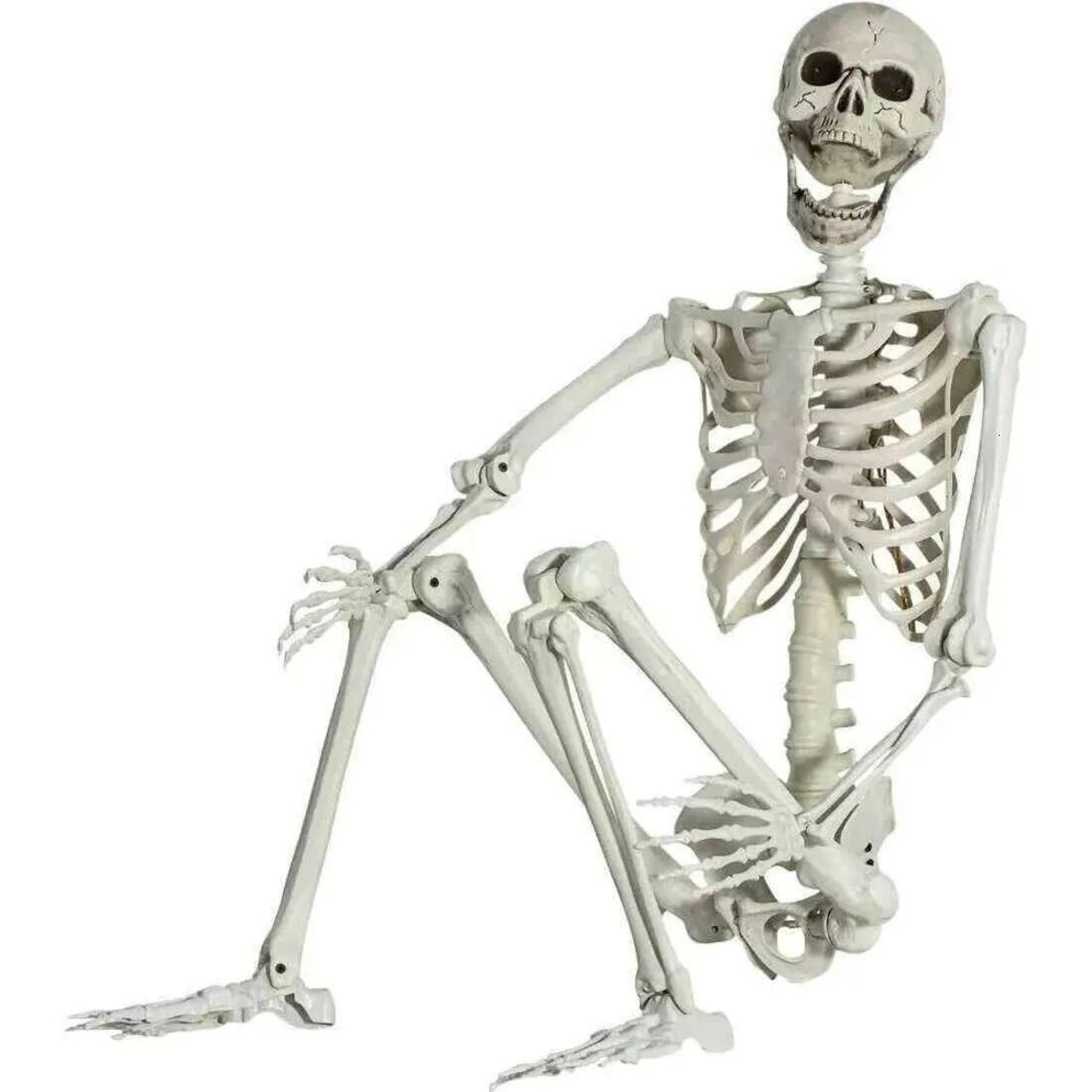 Posable Halloween Skeleton Decoration With Movable Joints 0