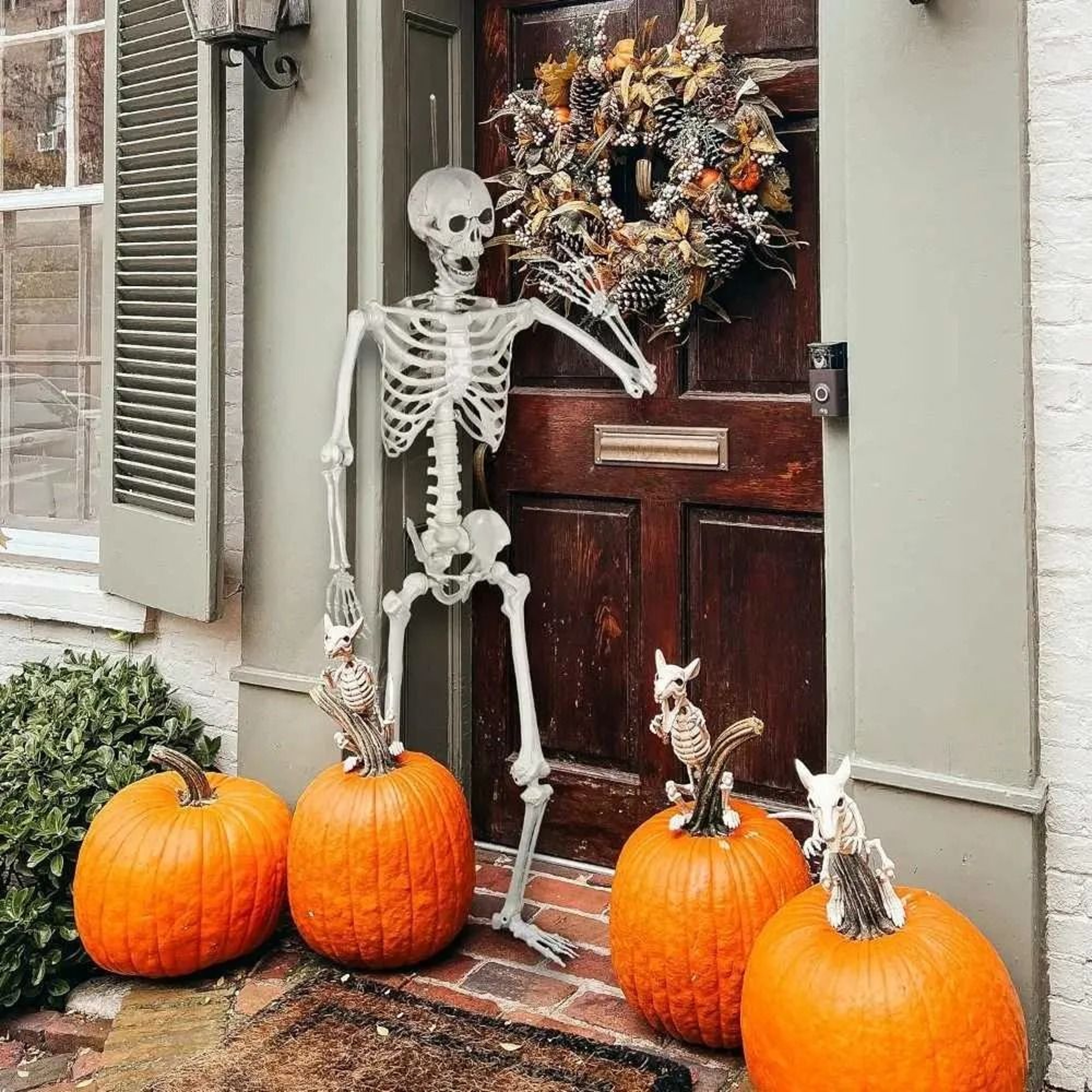 Posable Halloween Skeleton Decoration With Movable Joints 3