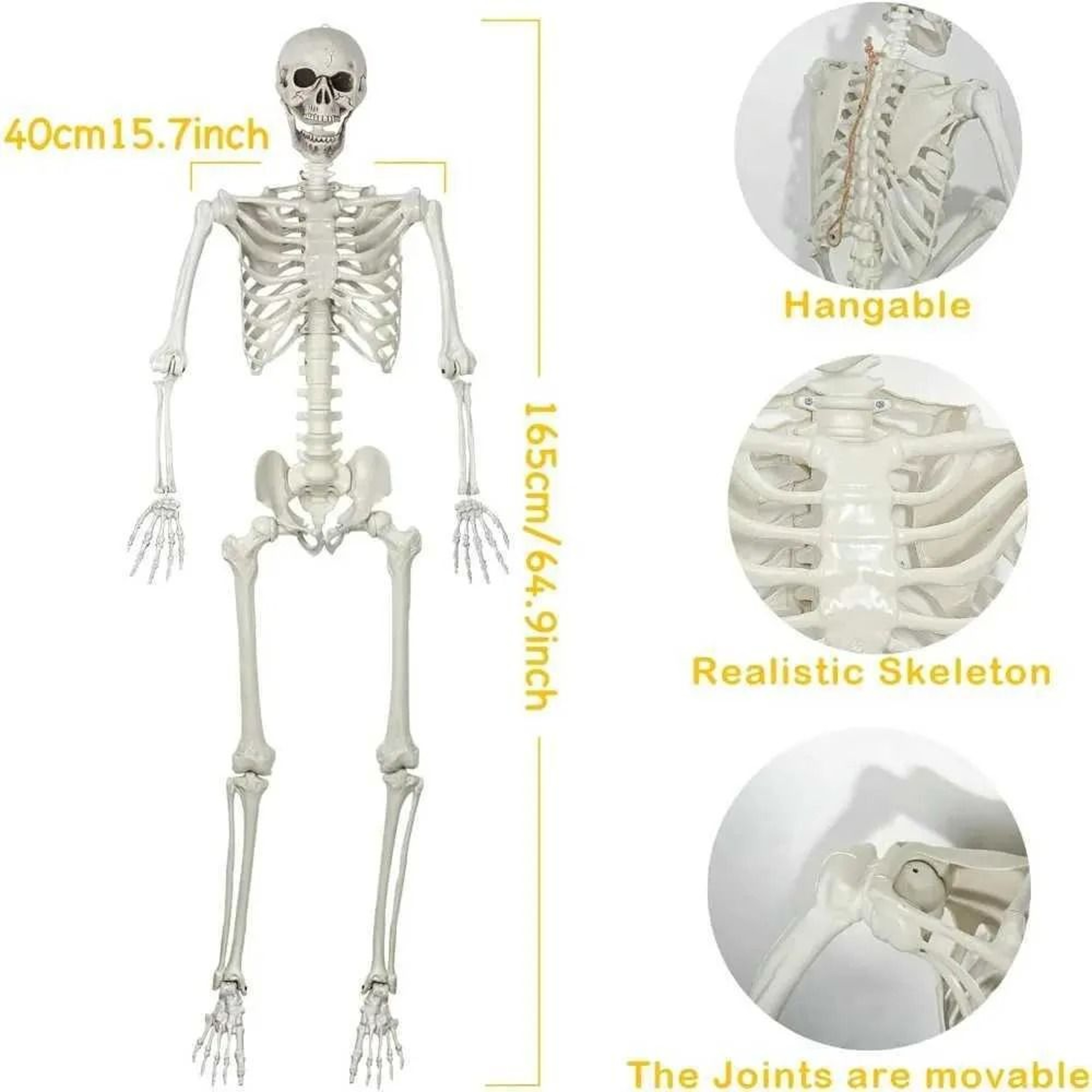 Posable Halloween Skeleton Decoration With Movable Joints 1