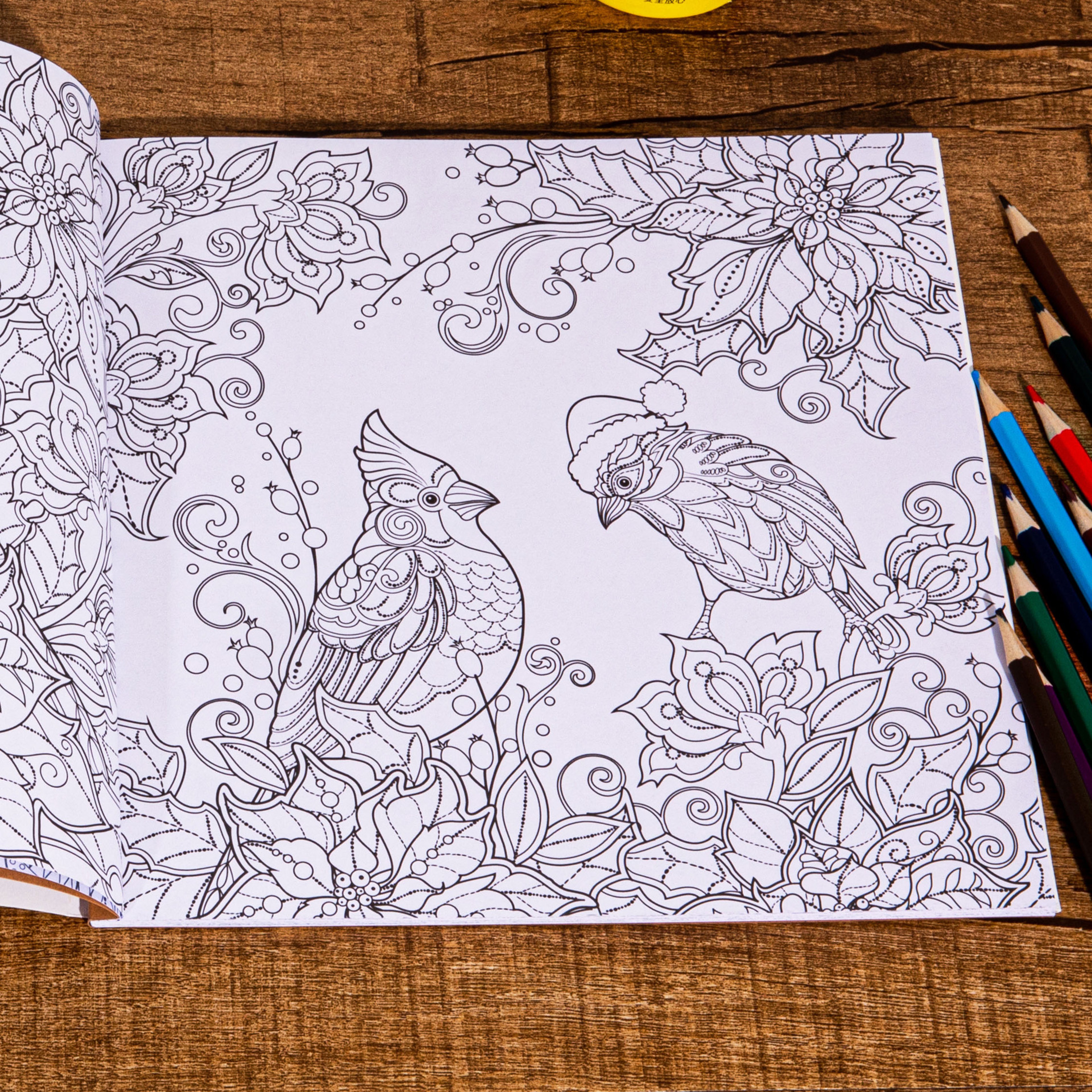 Magical Winter Coloring Book, for Stress Relief and Relaxation, Christmas and Winter Theme Graffiti Drawing Book – view 3