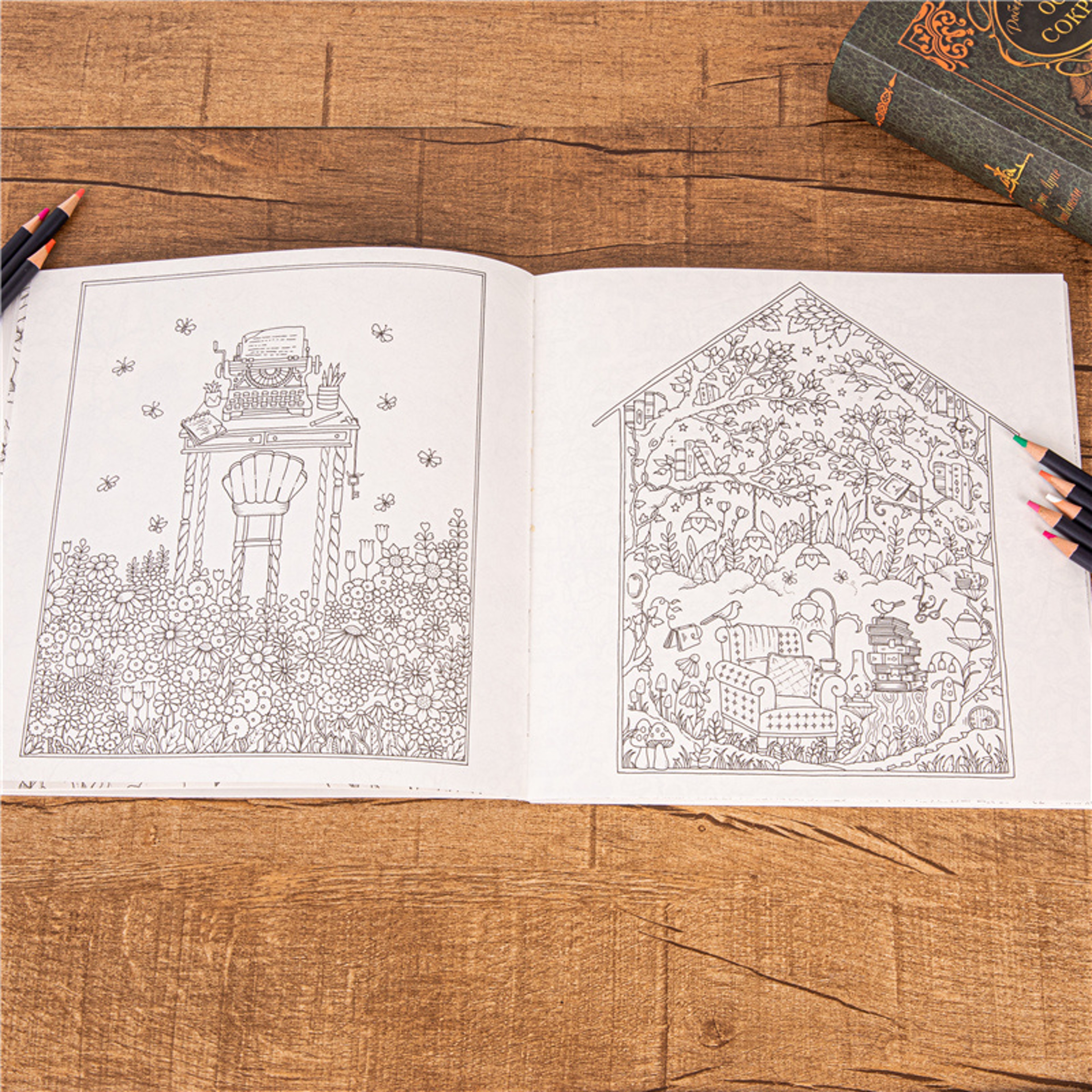 Rooms Of Wonder Coloring Book, For Adults and Children, Decompression Painting, Kids Picture Book – view 4