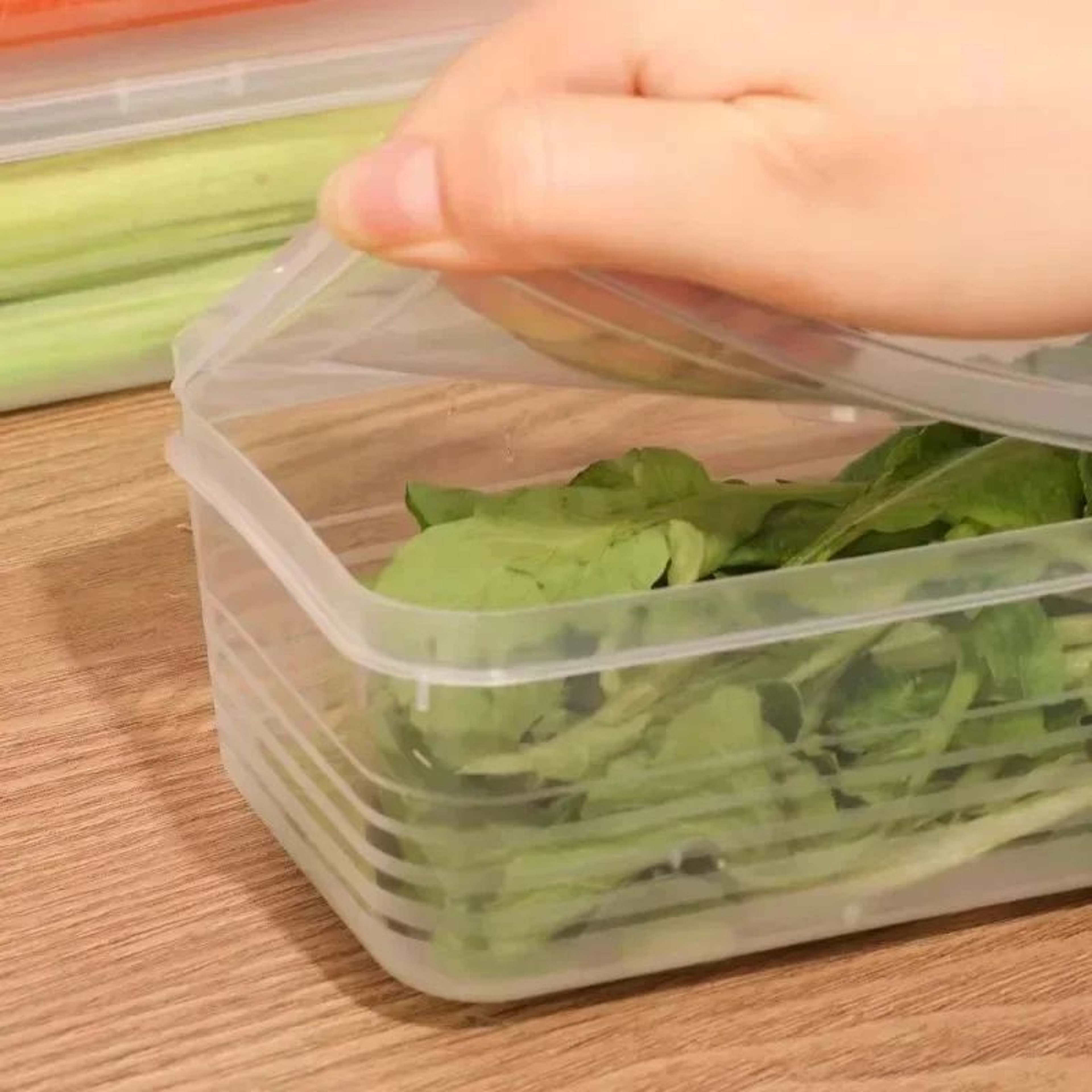 Airtight Refrigerator Storage Boxes With Lid  Scallion  Vegetable FreshKeeping Fridge Organizer 3