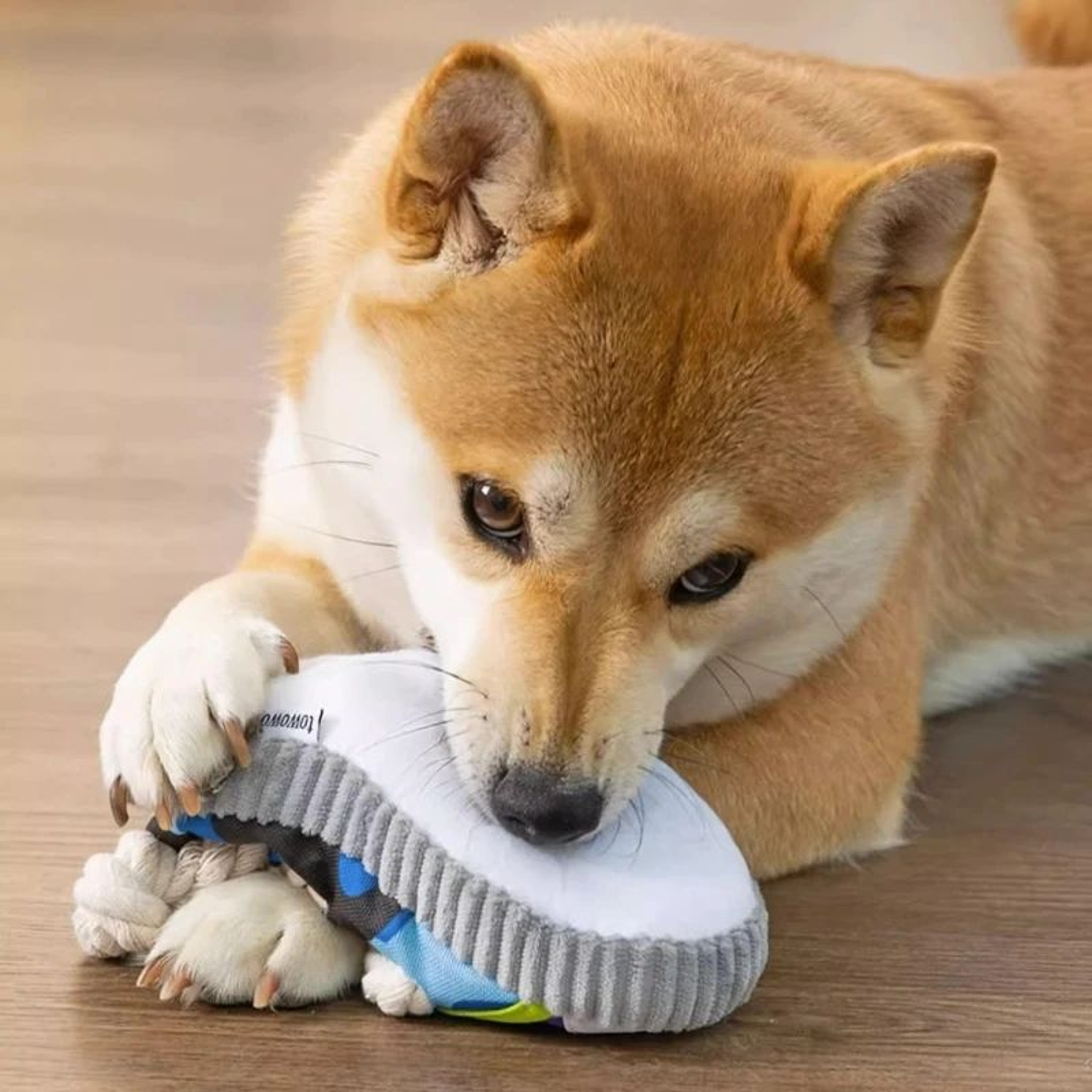 Interactive Dog Chew Slipper Toy  Cotton Rope Teeth Cleaning Squeaky Shoe With Bell  BB Airbag 1